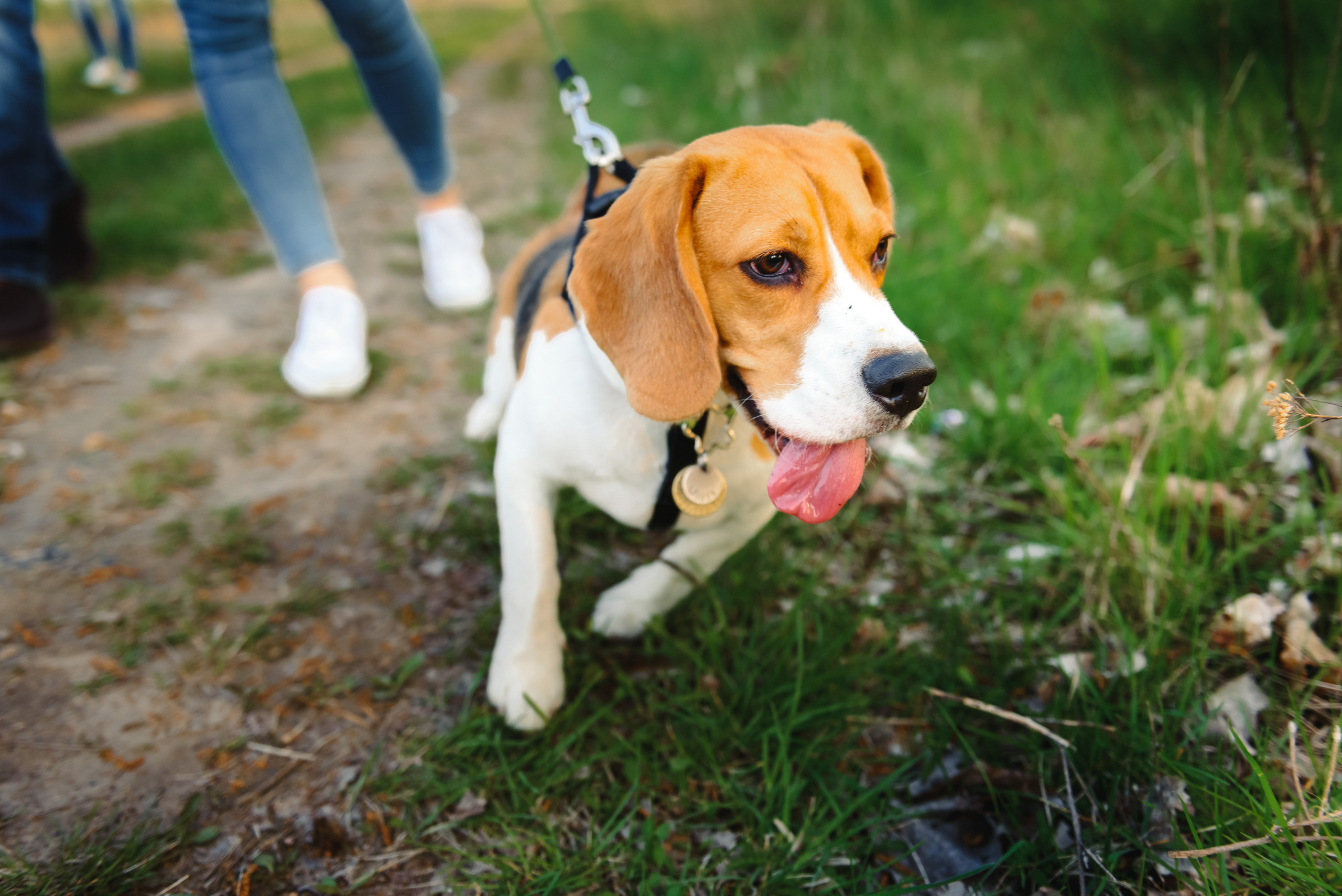 Анастасия и Андрей. Свадебный и семейный фотограф в Гродно Андрей Явейшис