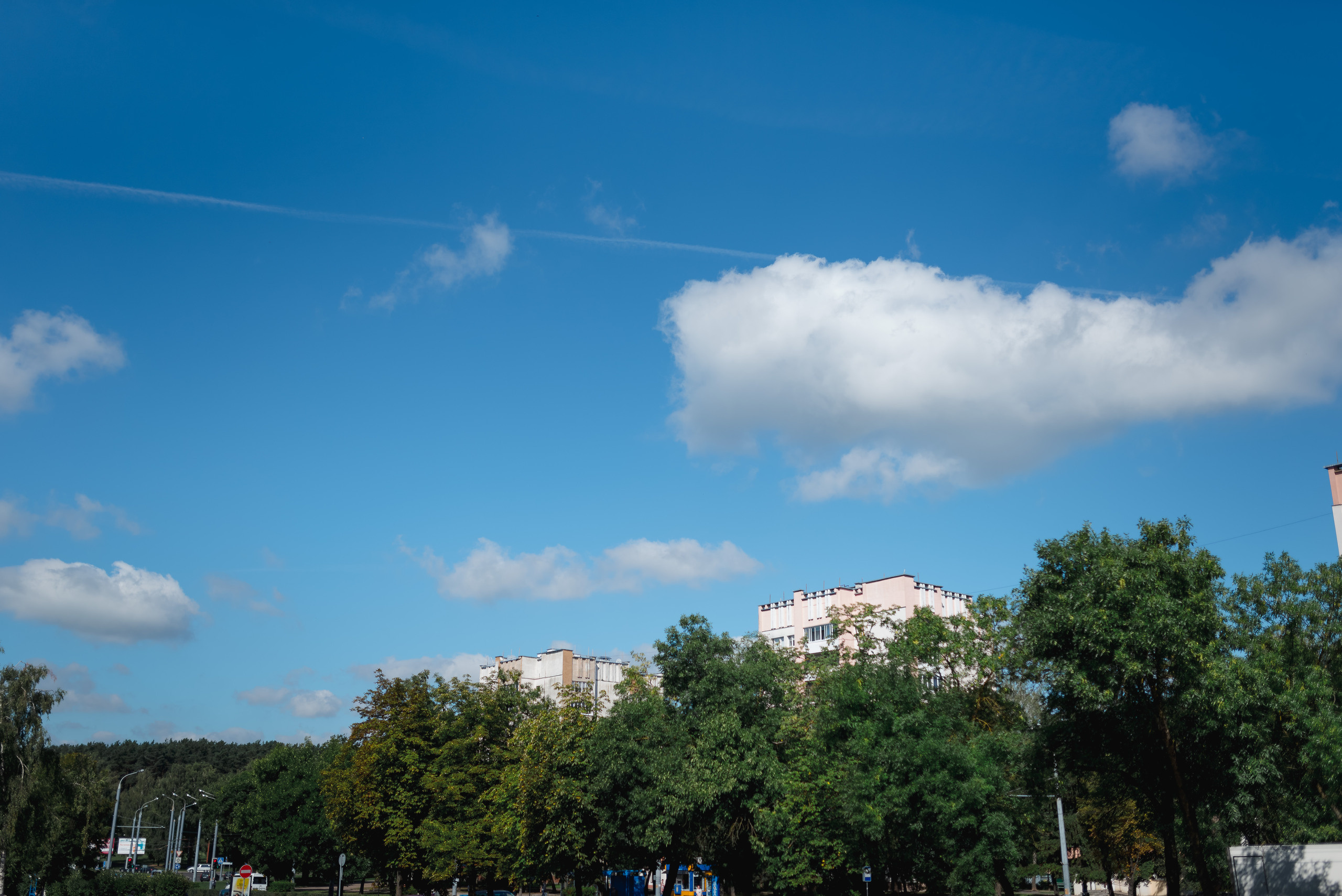 Анастасия и Дмитрий. Свадебный и семейный фотограф в Гродно Андрей Явейшис