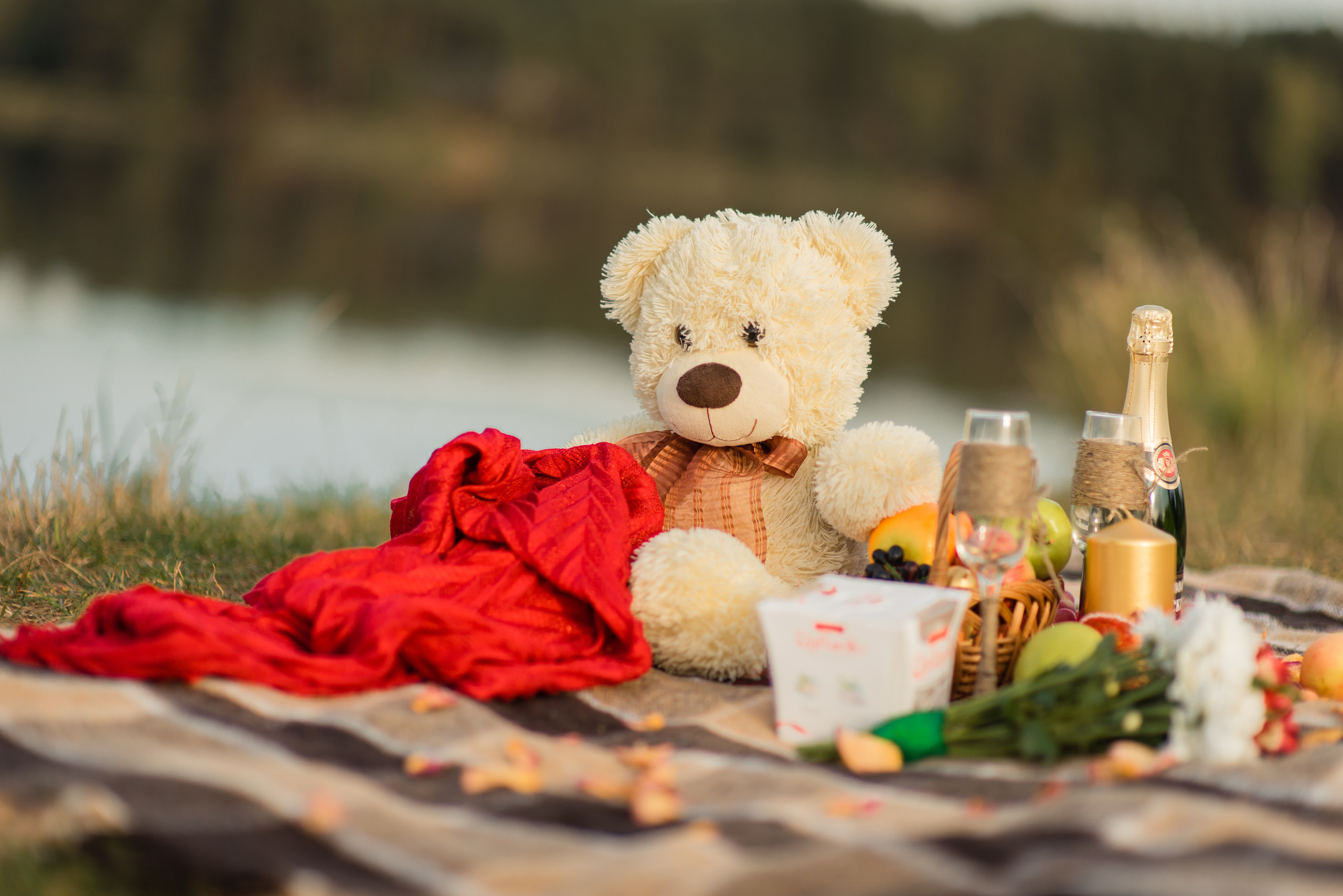 Екатерина и Константин. Свадебный и семейный фотограф в Гродно Андрей Явейшис