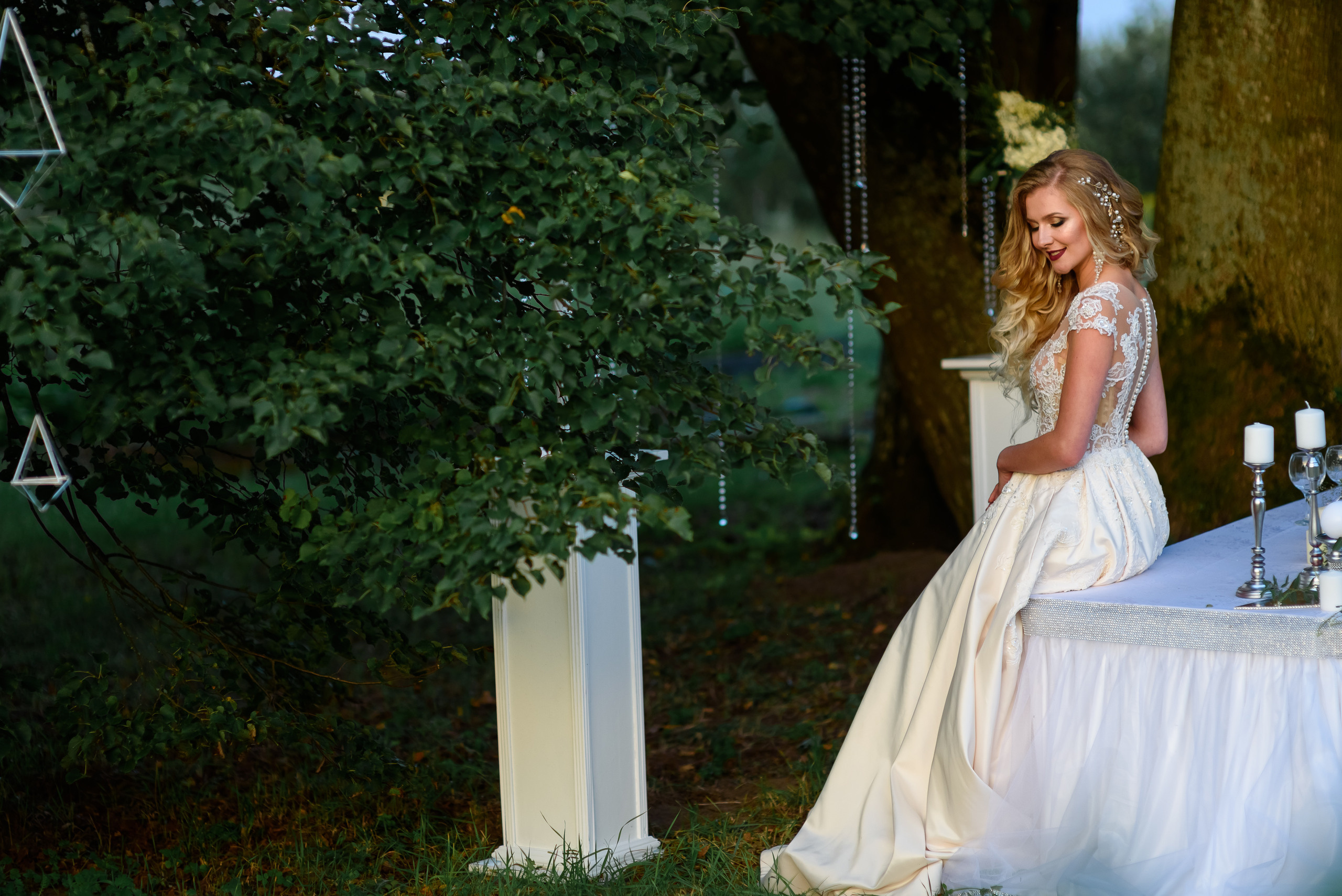 Вечерняя регистрация. Свадебный и семейный фотограф в Гродно Андрей Явейшис