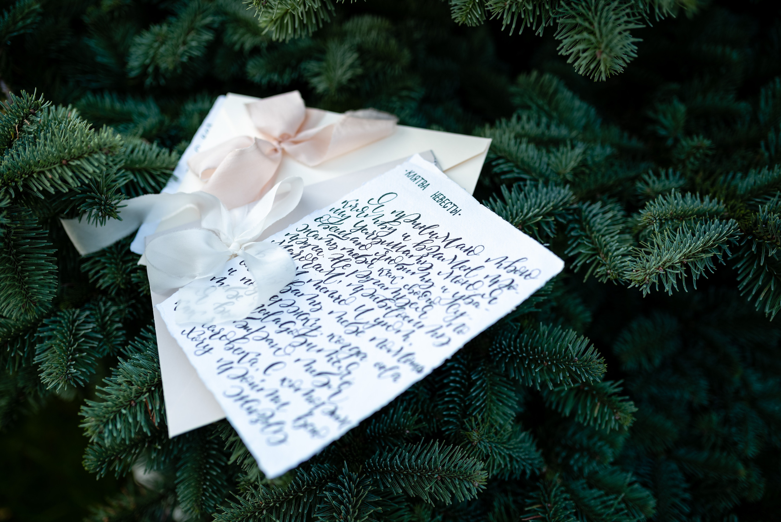 Клятва. Свадебный и семейный фотограф в Гродно Андрей Явейшис