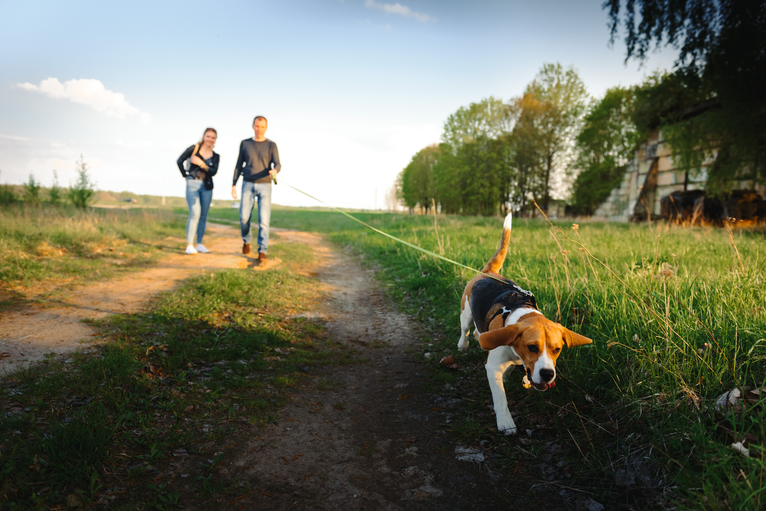 Анастасия и Андрей. Свадебный и семейный фотограф в Гродно Андрей Явейшис