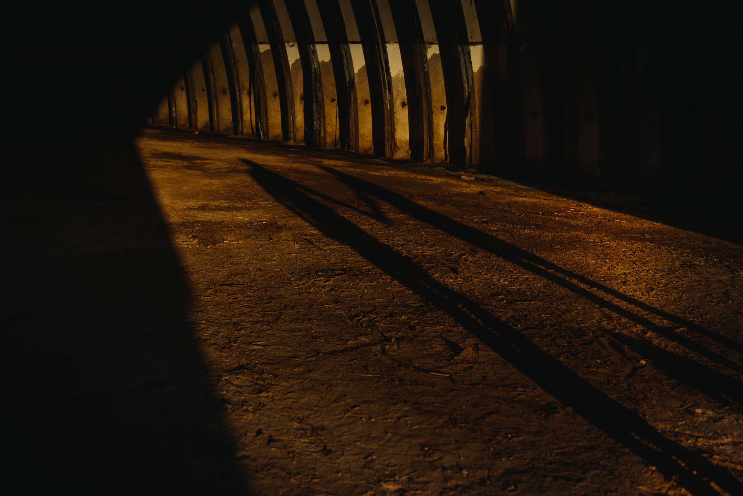 Анастасия и Андрей. Свадебный и семейный фотограф в Гродно Андрей Явейшис