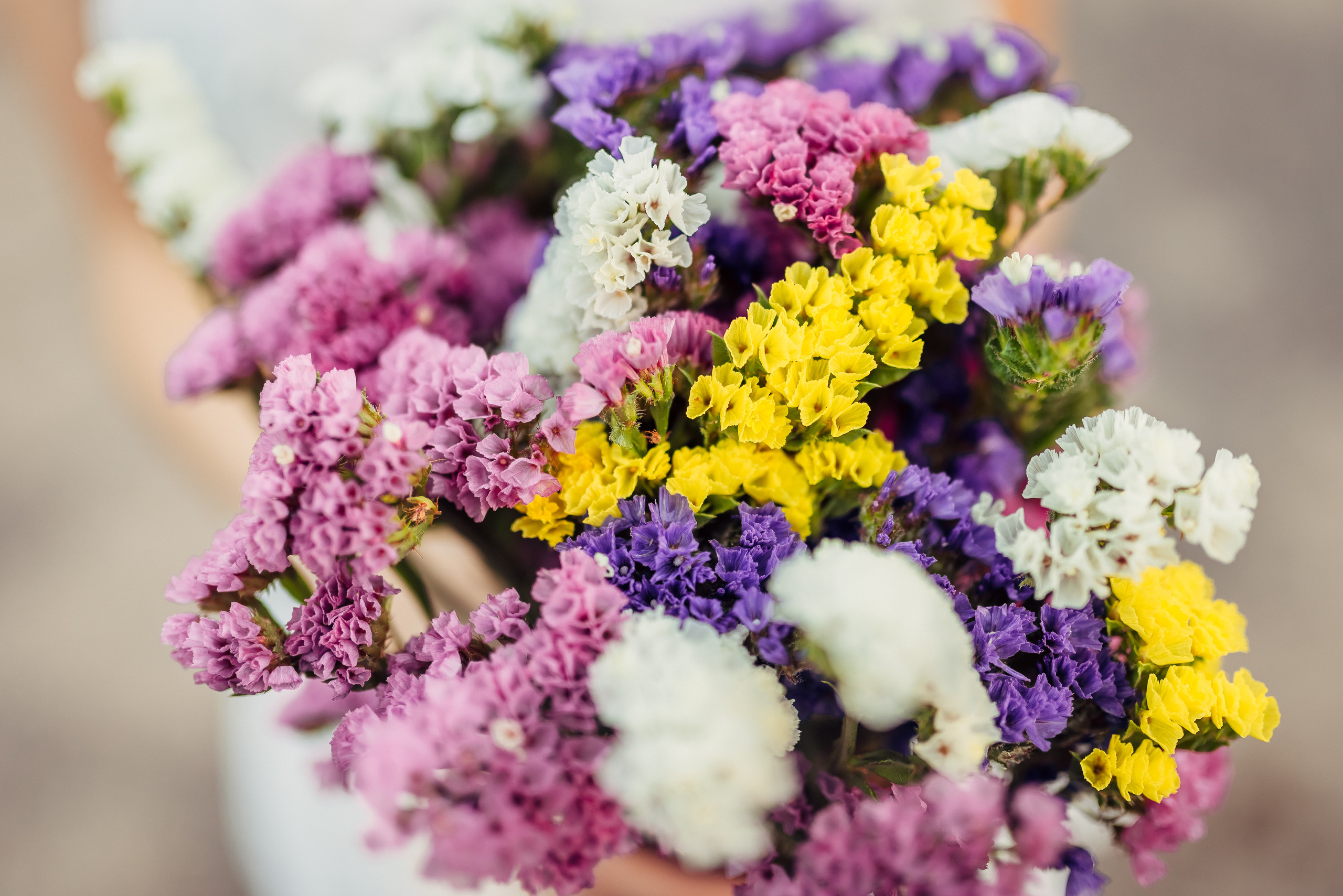Маргарита и Олег. Свадебный и семейный фотограф в Гродно Андрей Явейшис