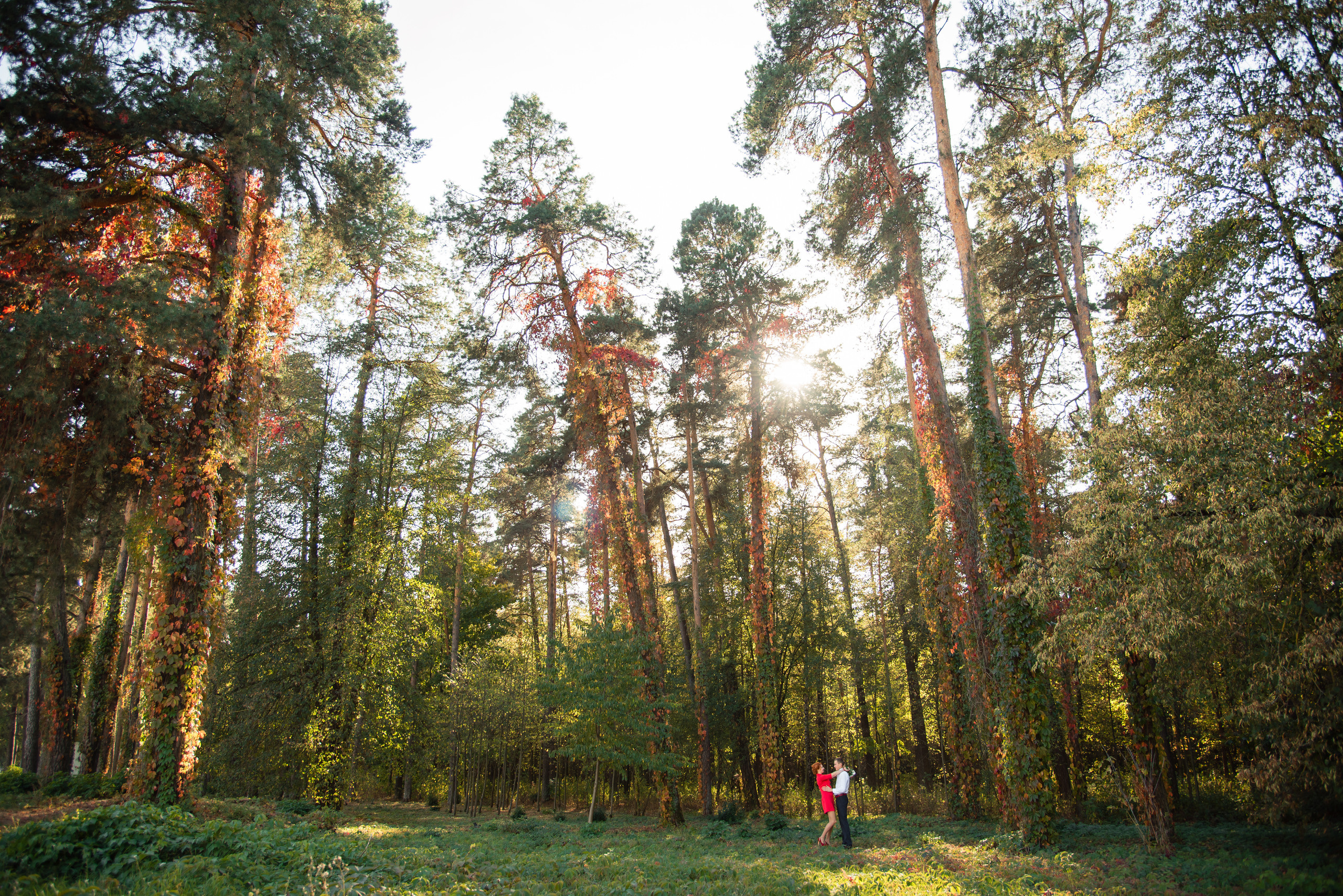 Екатерина и Константин. Свадебный и семейный фотограф в Гродно Андрей Явейшис
