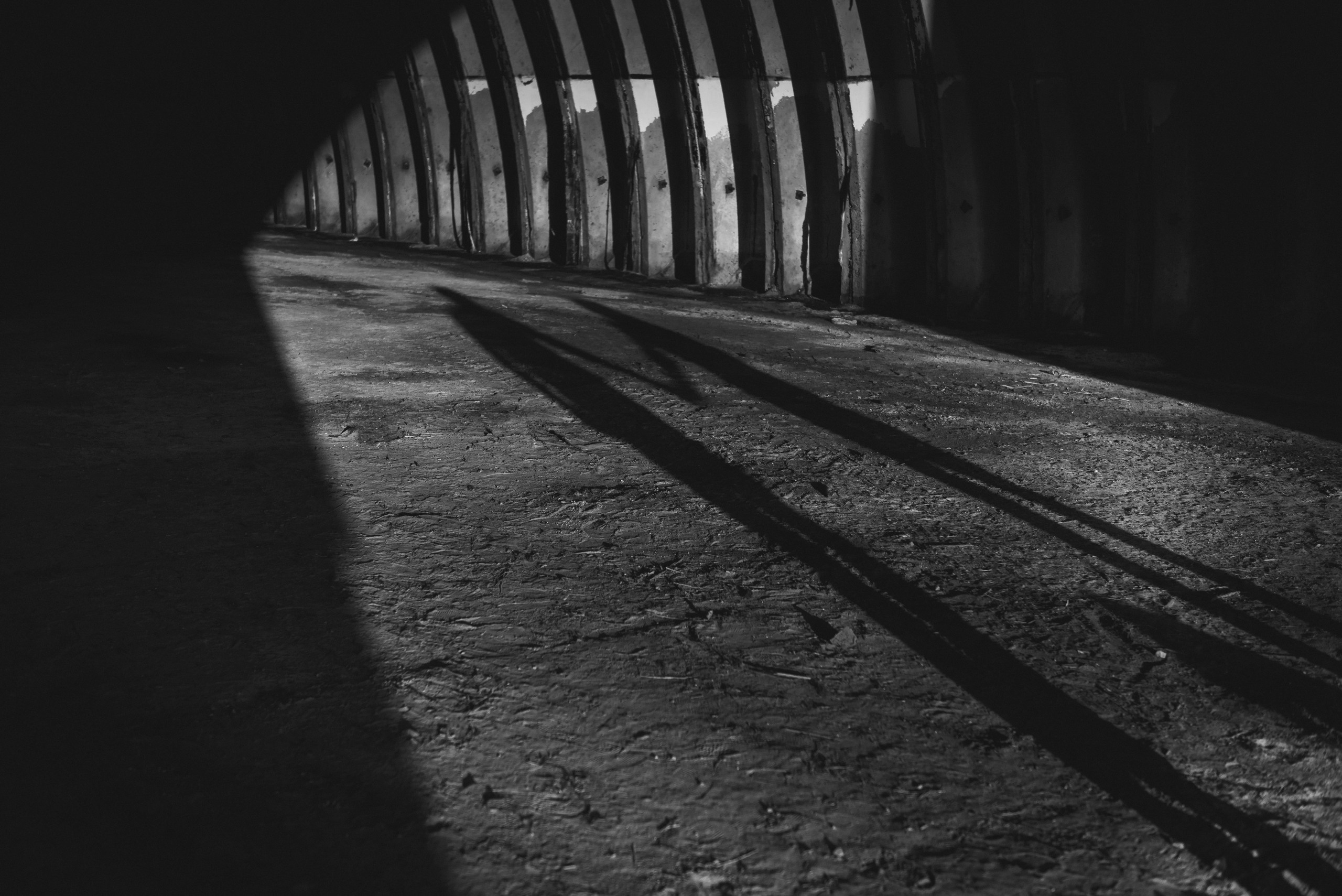 Анастасия и Андрей. Свадебный и семейный фотограф в Гродно Андрей Явейшис