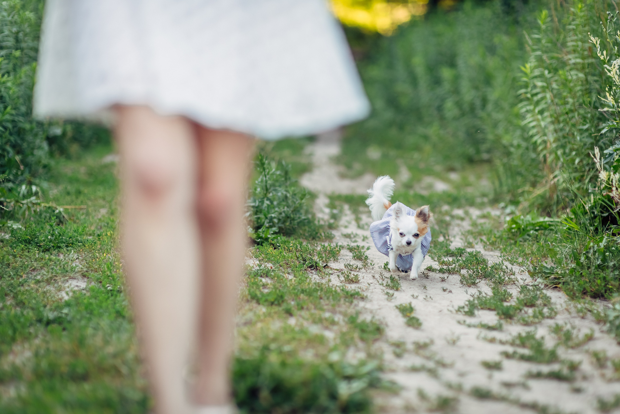 Маргарита и Олег. Свадебный и семейный фотограф в Гродно Андрей Явейшис
