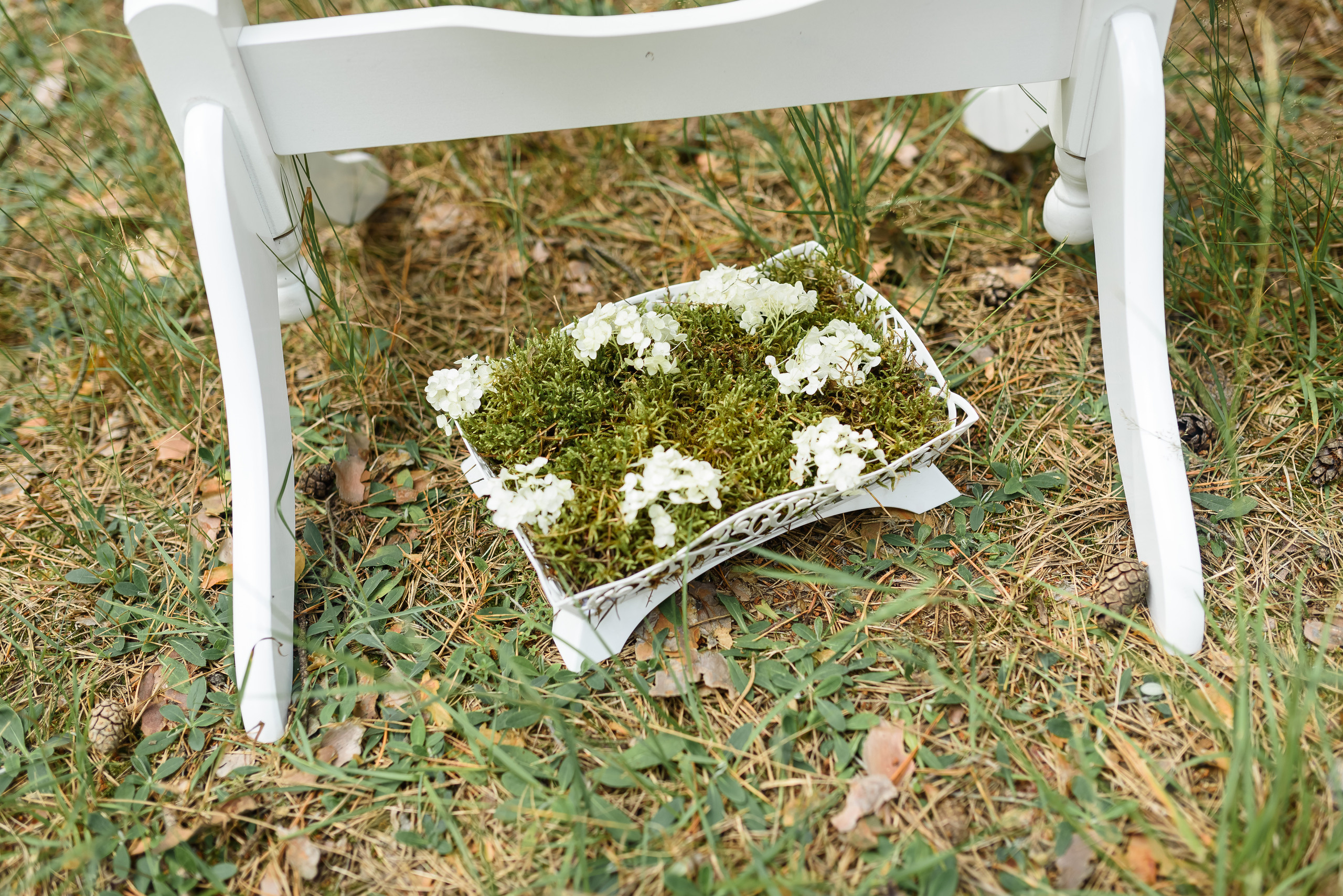 Лесная нимфа. Свадебный и семейный фотограф в Гродно Андрей Явейшис