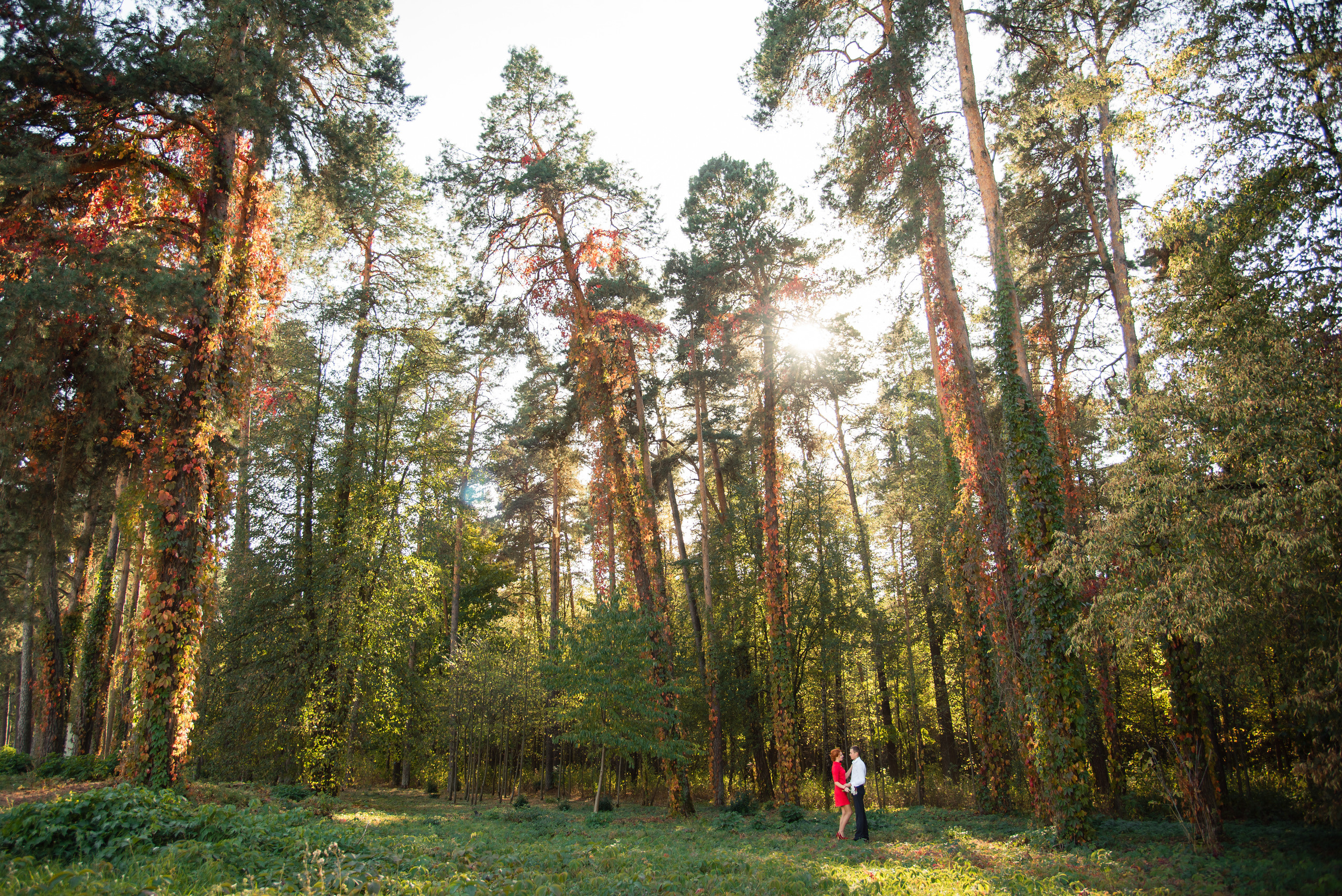 Екатерина и Константин. Свадебный и семейный фотограф в Гродно Андрей Явейшис