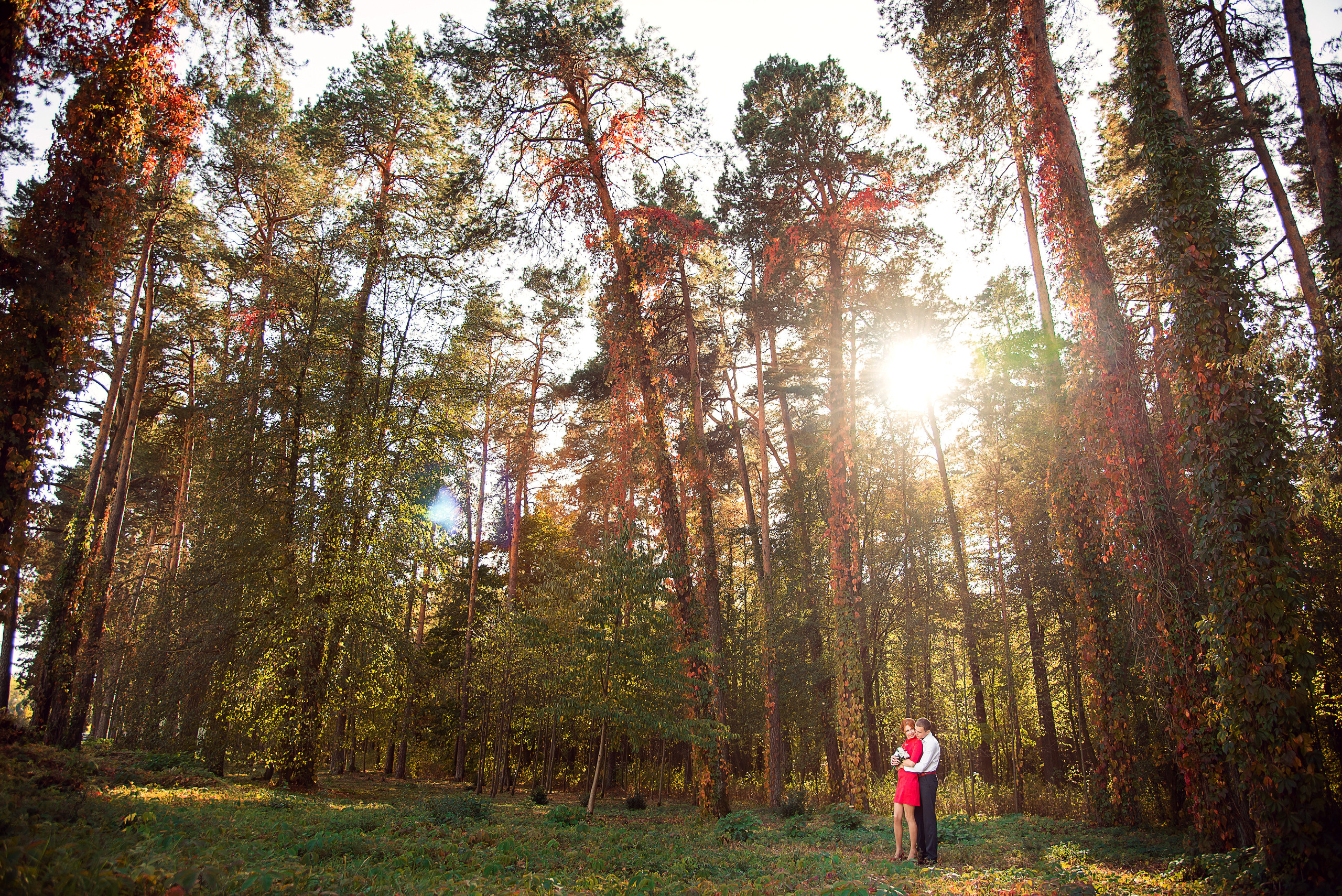 Екатерина и Константин. Свадебный и семейный фотограф в Гродно Андрей Явейшис