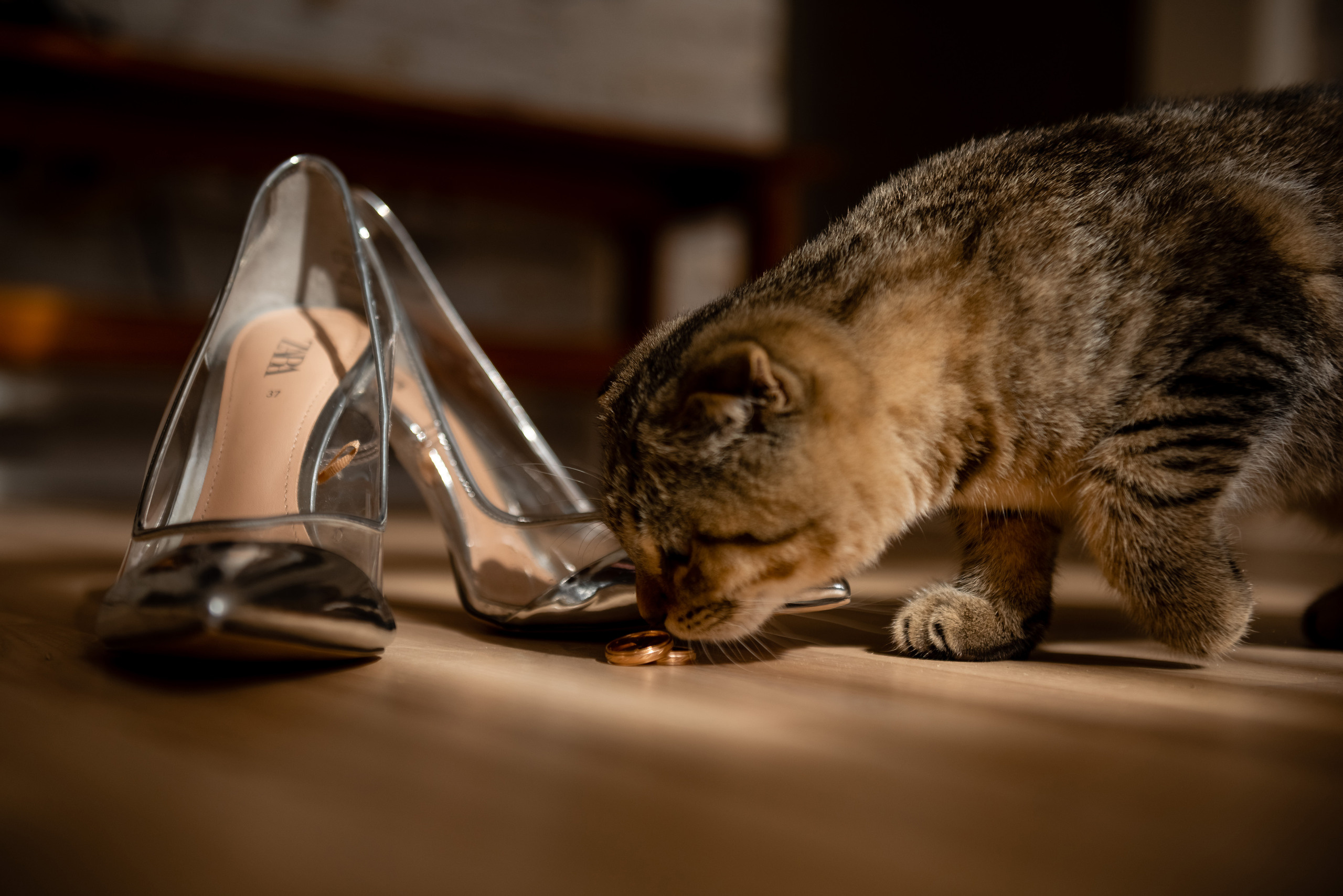 Клятва. Свадебный и семейный фотограф в Гродно Андрей Явейшис