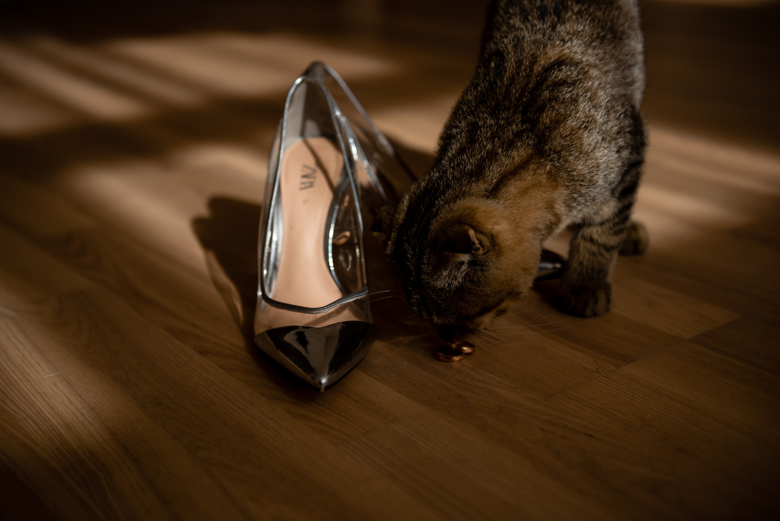 Клятва. Свадебный и семейный фотограф в Гродно Андрей Явейшис