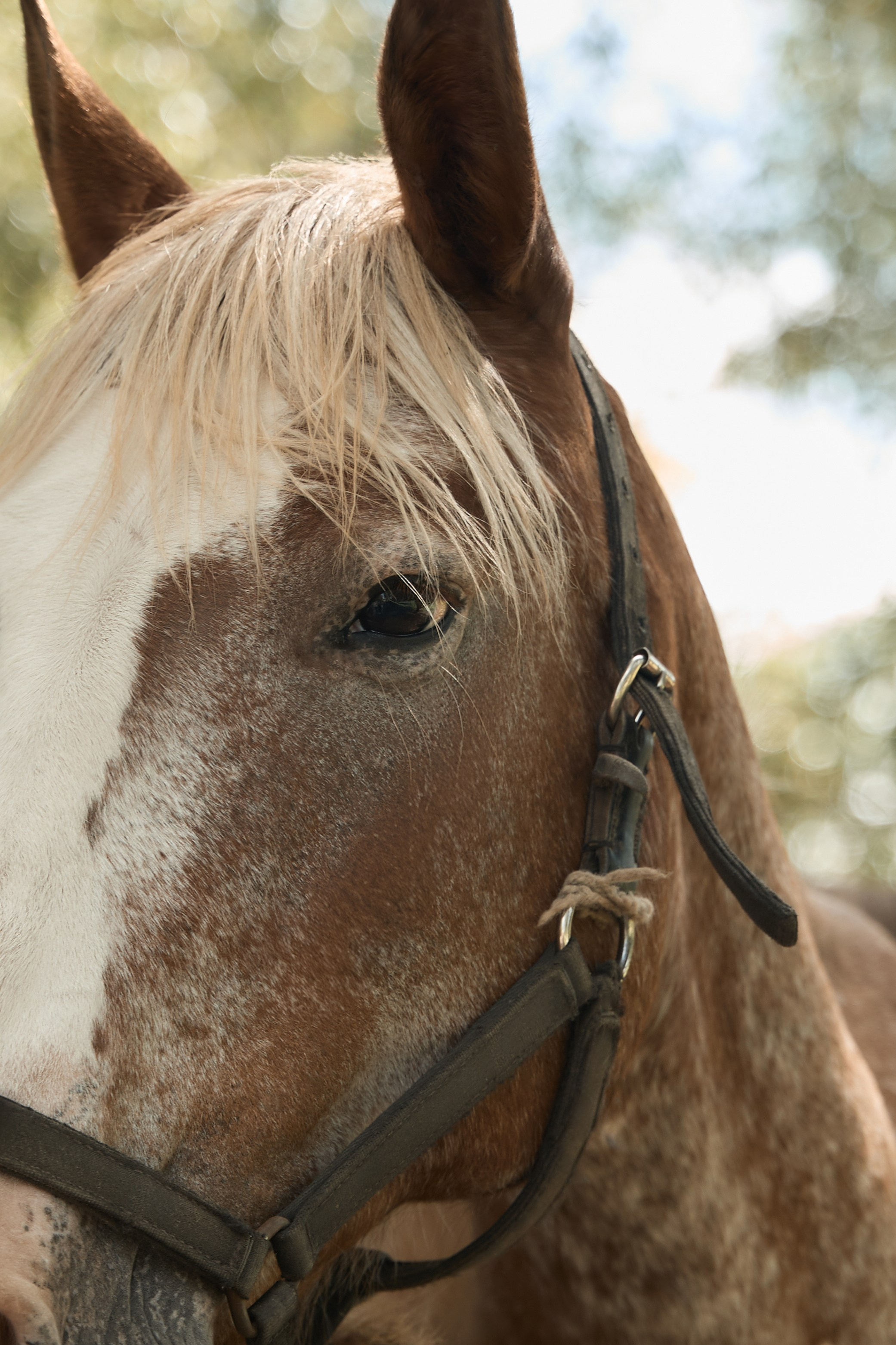Бренд Teri. Туманова Екатерина — коммерческий фотограф в Москве