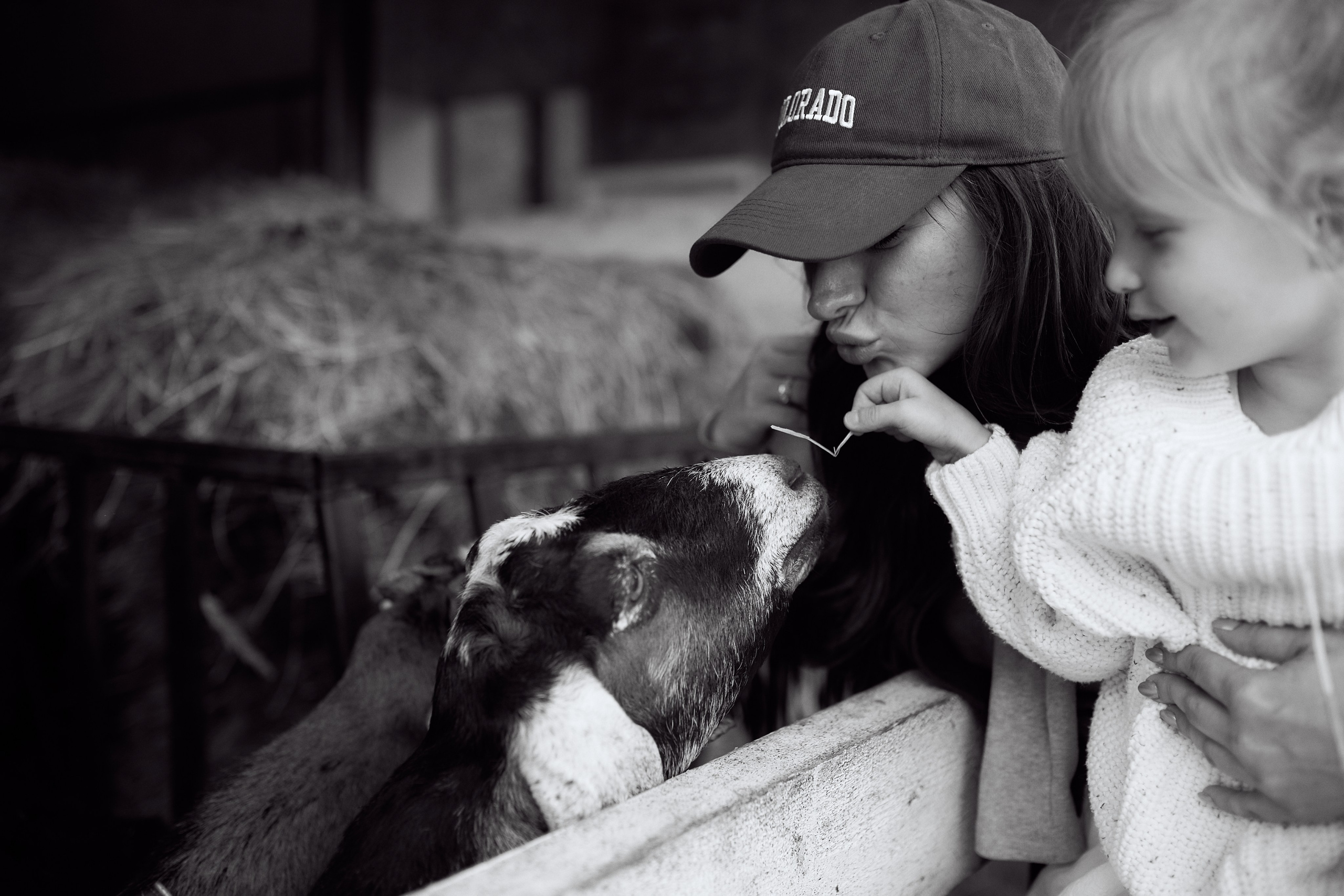 Кристина и Ариша на ферме. Семейный и свадебный lifestyle-фотограф в Москве Мария Петрова