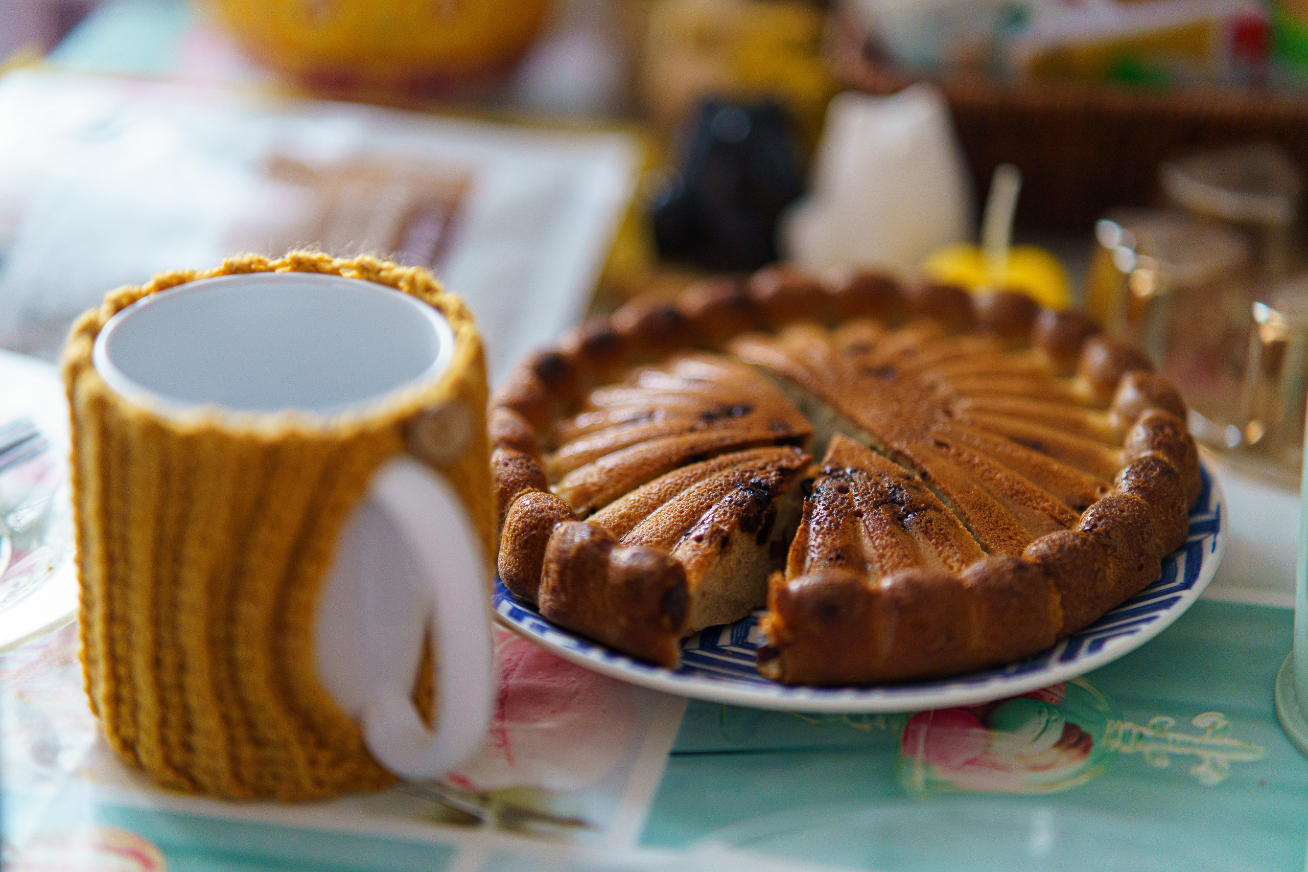 Белый кун Марсик и Яна. Фотограф Челябинск · Ольга Серебрякова