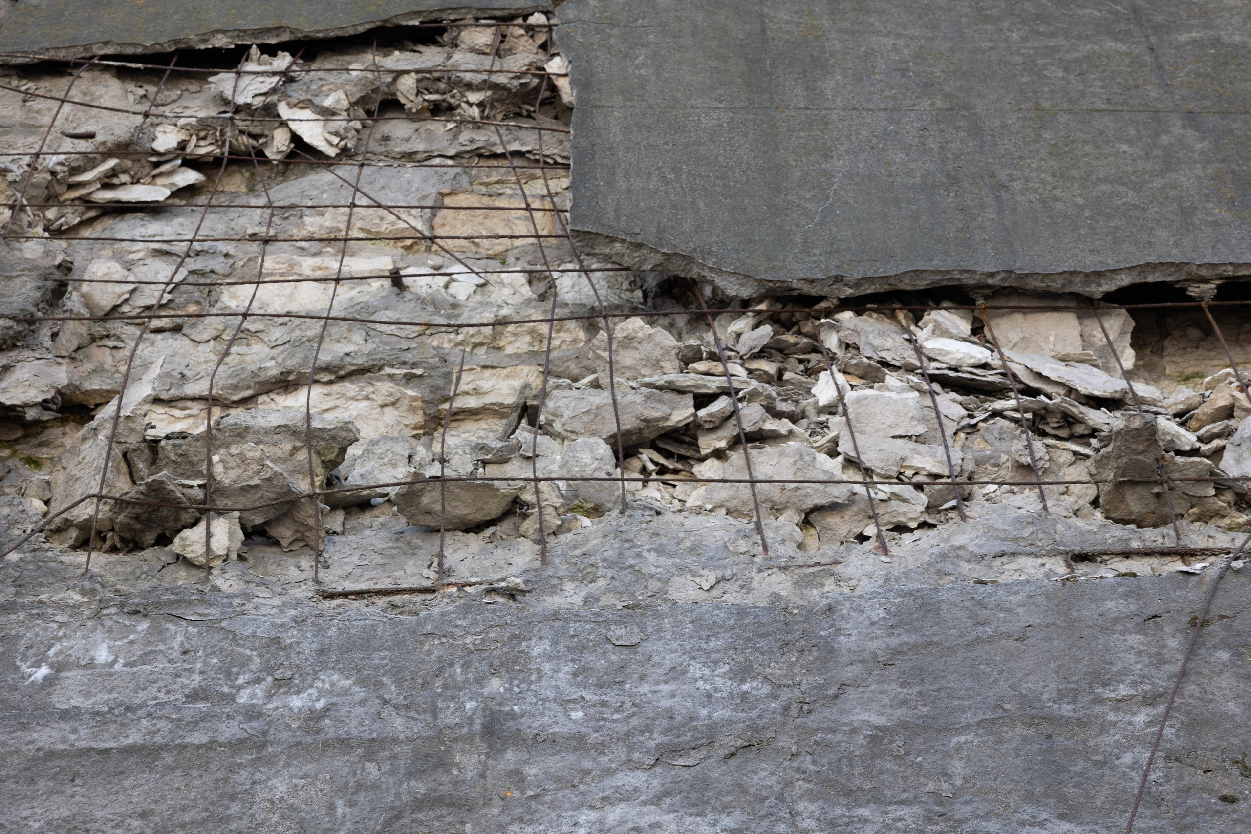 Art prints. Фотограф алина стерхова, алина стерхова фотограф, фотограф москва