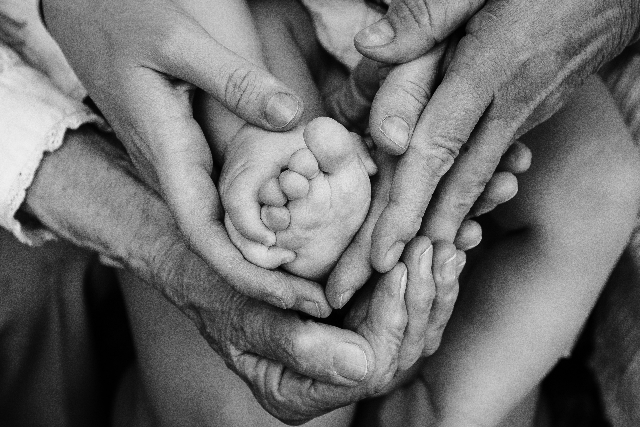 Семейная. Дарья, фотограф, Москва