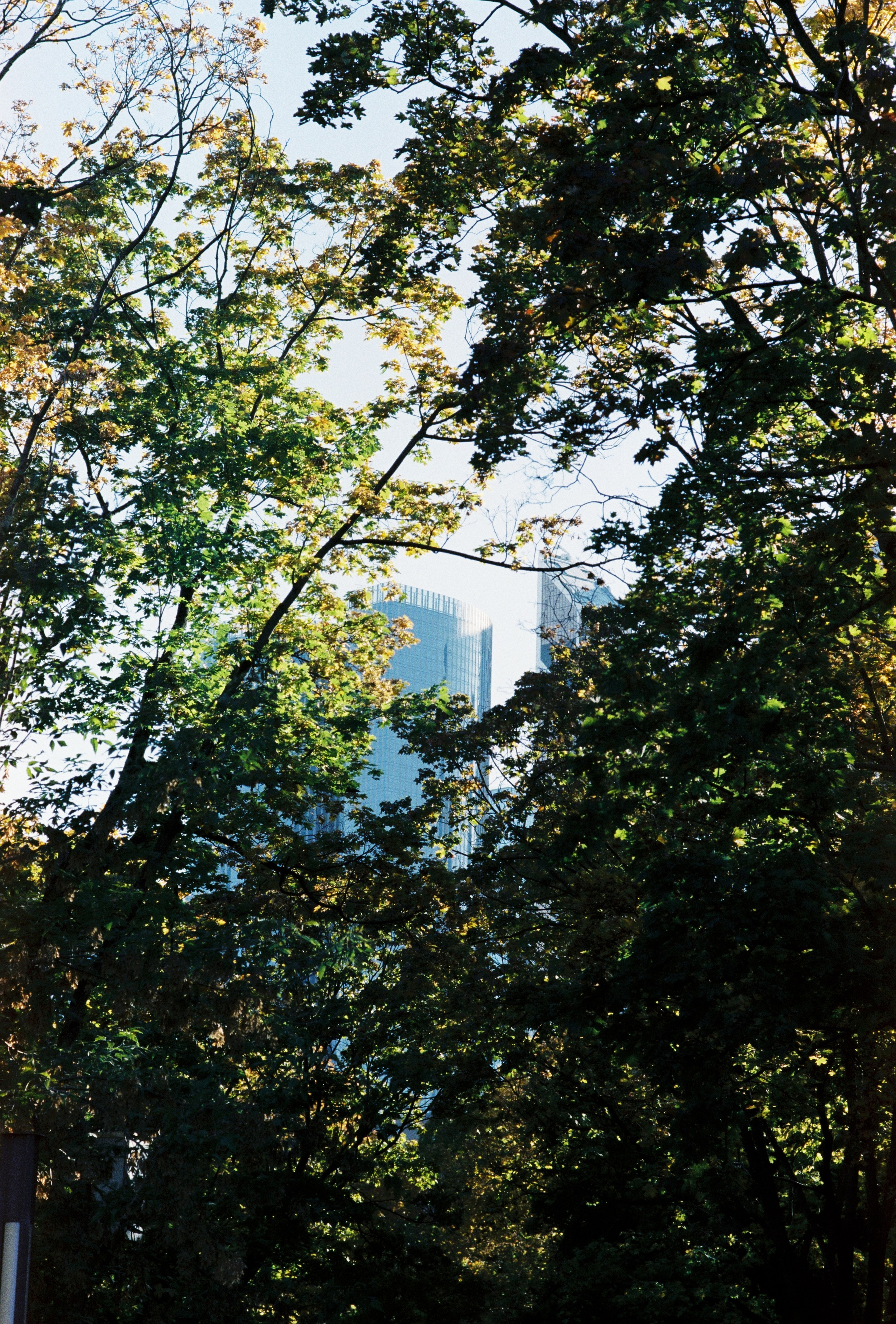 Б. Пленочный фотограф