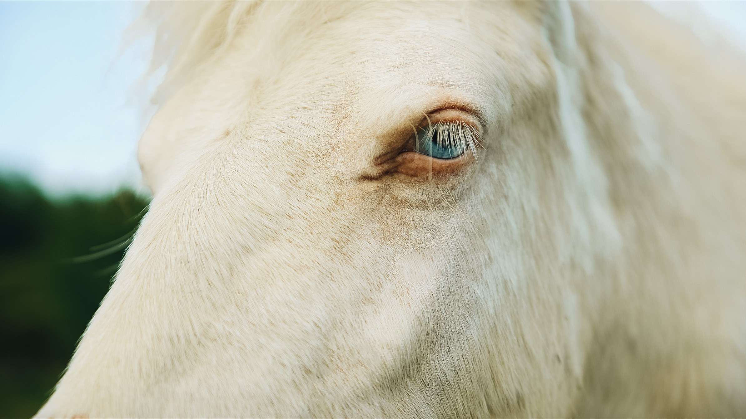 Тур — девичник LEF.TRAVEL.CLUB. KRIS KRUPINNIKOVA