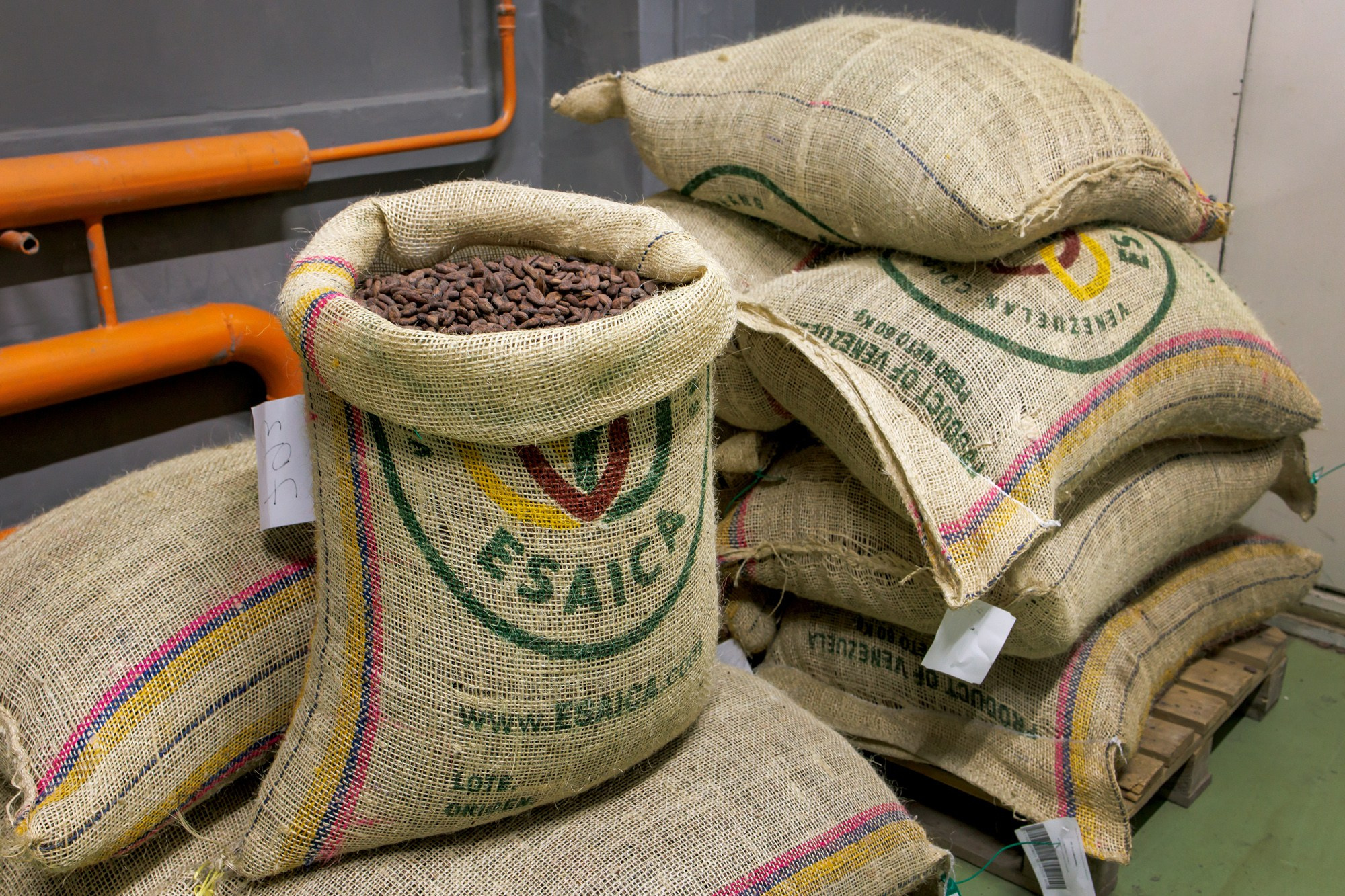 Nature's own factory. Photographer Ksenia Kolesnikova. Interior, Product, and Portrait Photography in Moscow