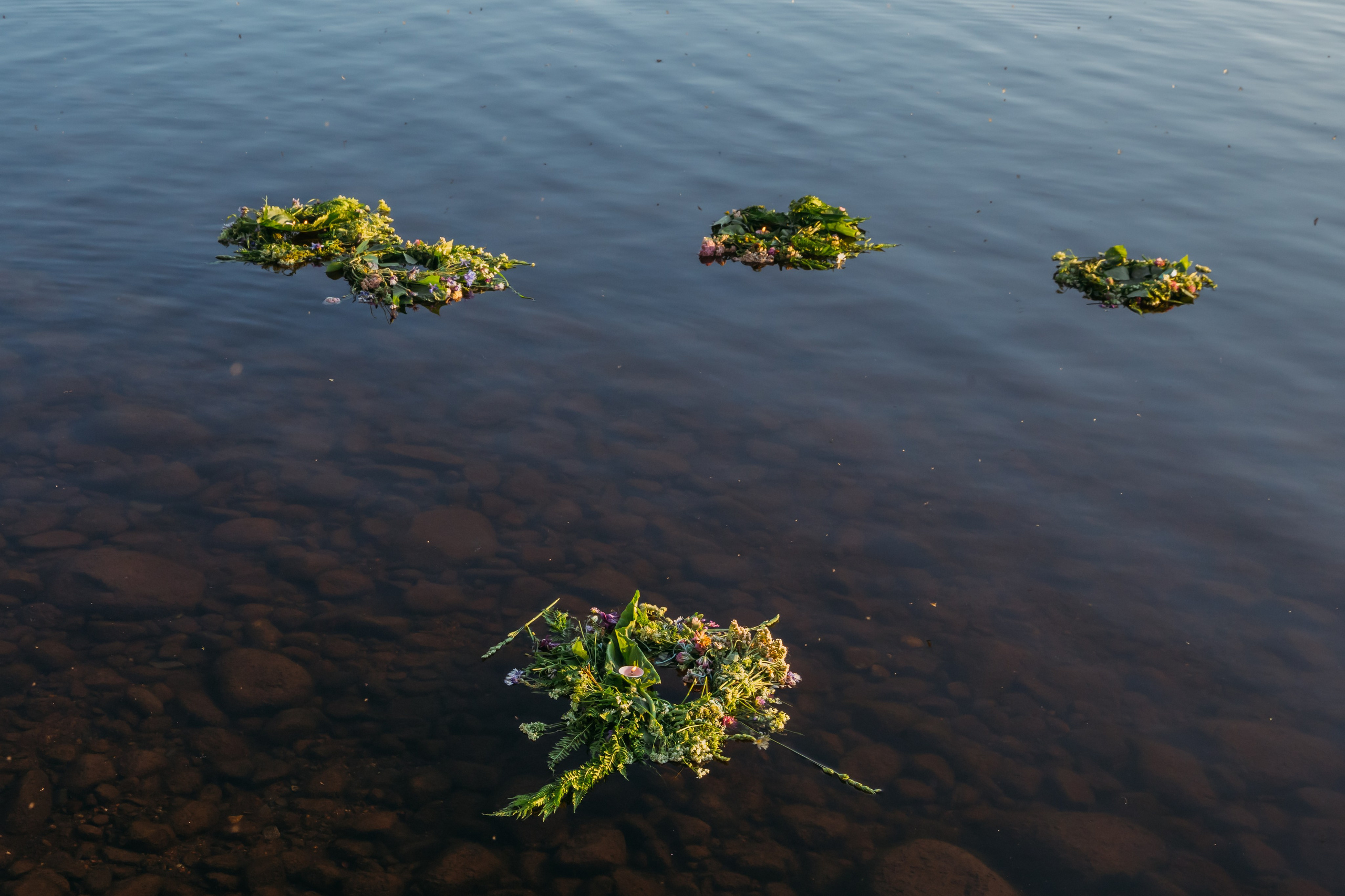Родные люди «Мандроги». Леся Гаранина. Семейный фотограф/видеограф Москва и область