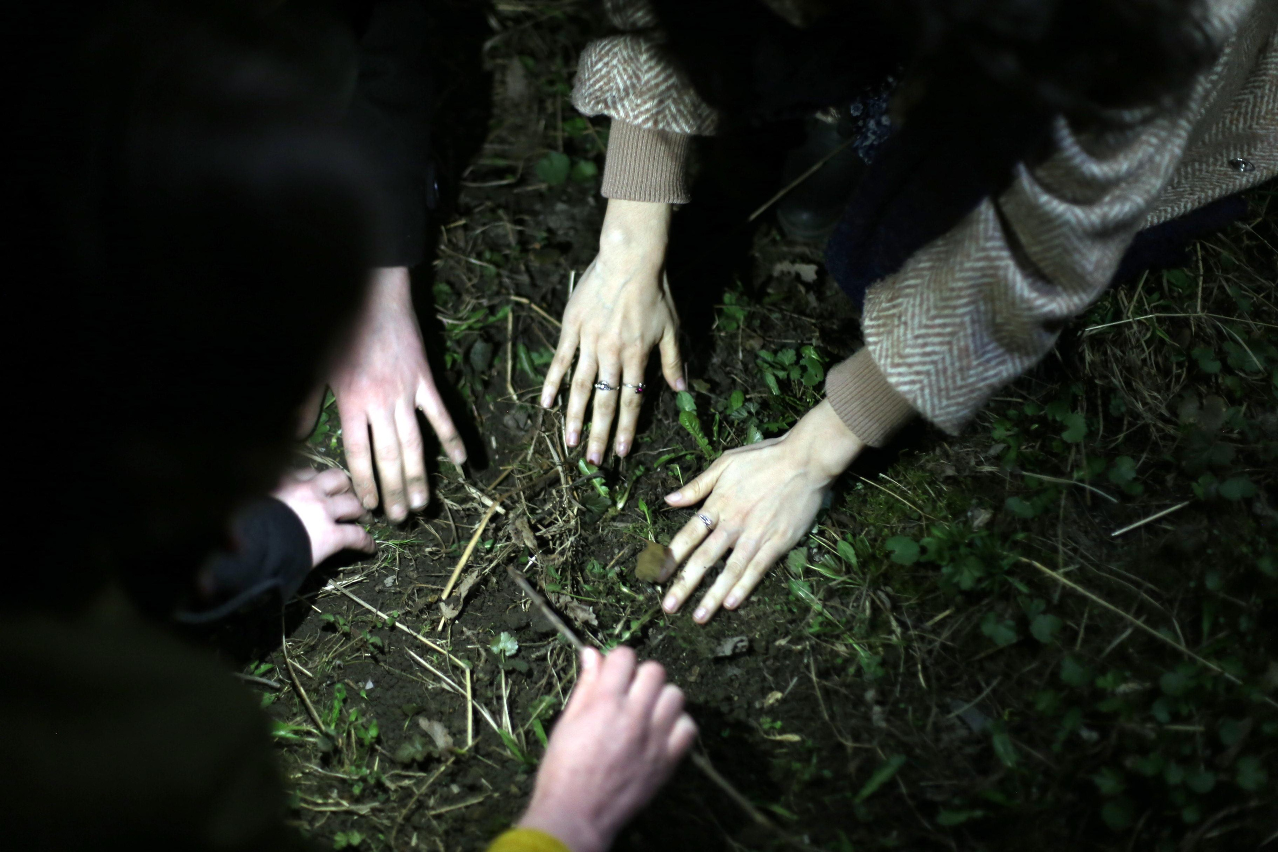 Квартирная выставка 2021. Екатерина Васильева художник, куратор и преподаватель