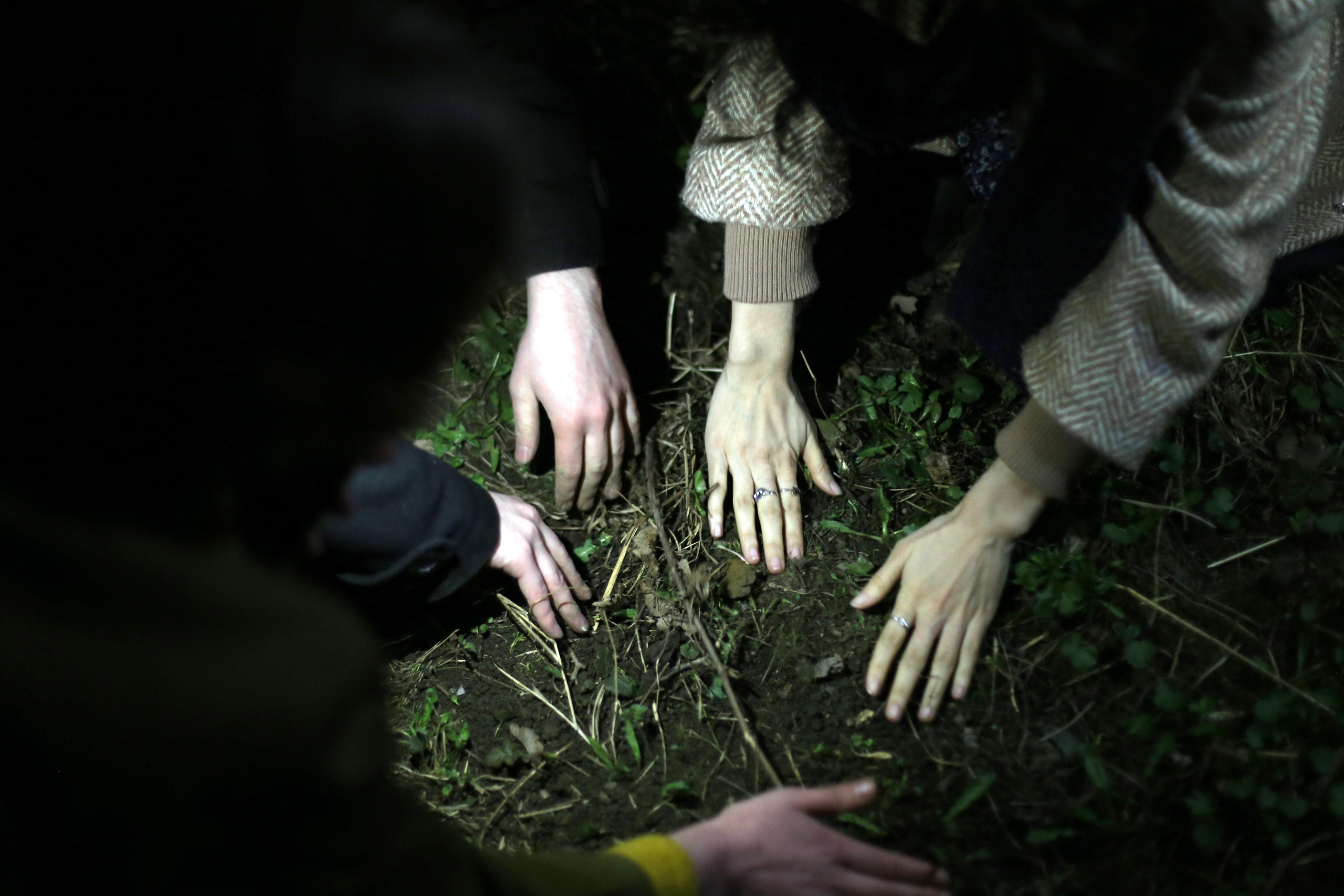 Квартирная выставка 2021. Екатерина Васильева художник, куратор и преподаватель