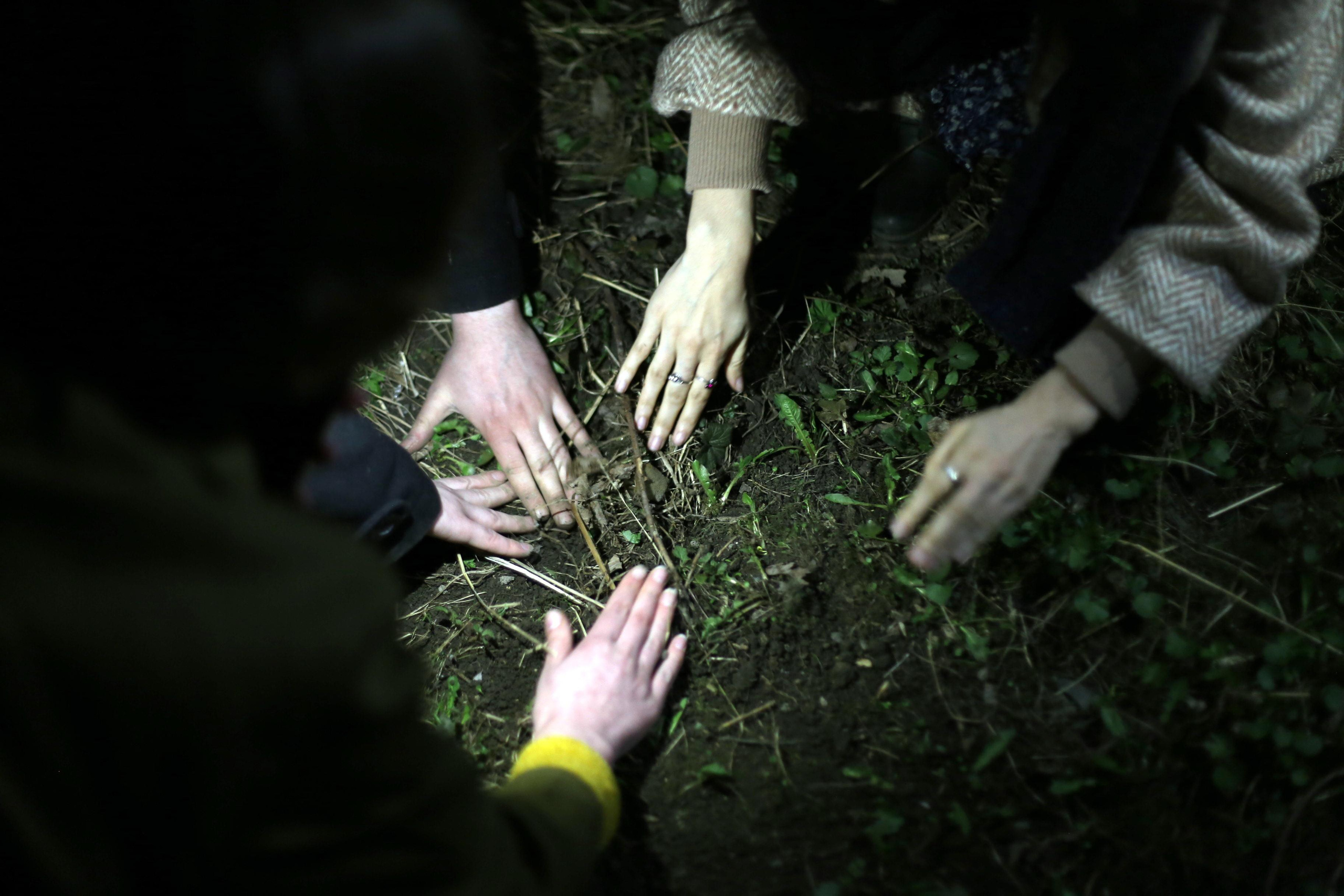 Квартирная выставка 2021. Екатерина Васильева художник, куратор и преподаватель