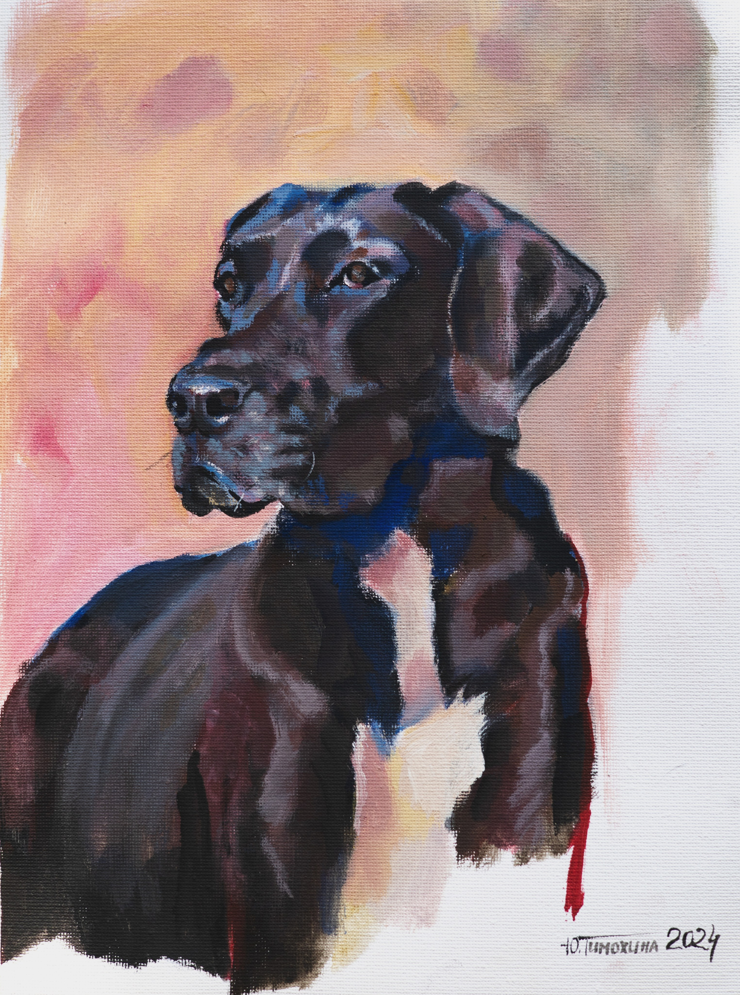 Собаки. Художник и Фотограф Тимохина Юлия