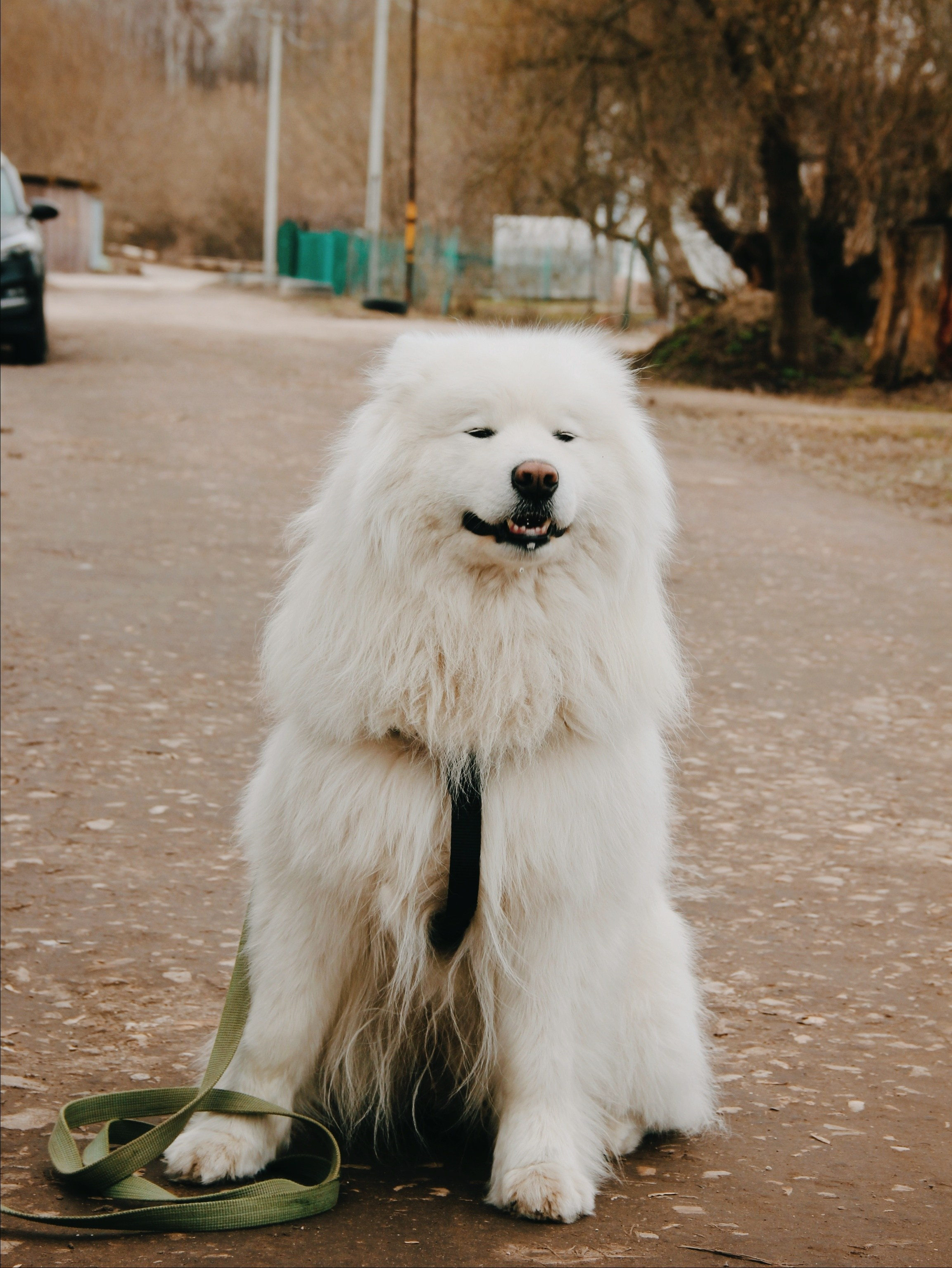 Уличные модели. С любовью, фотохудожник