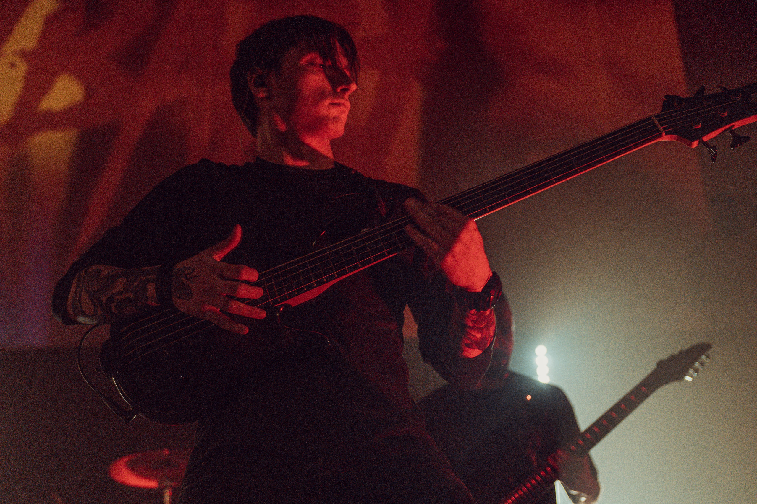 The Korea 12.01.2024. Фотограф Дядя Сник