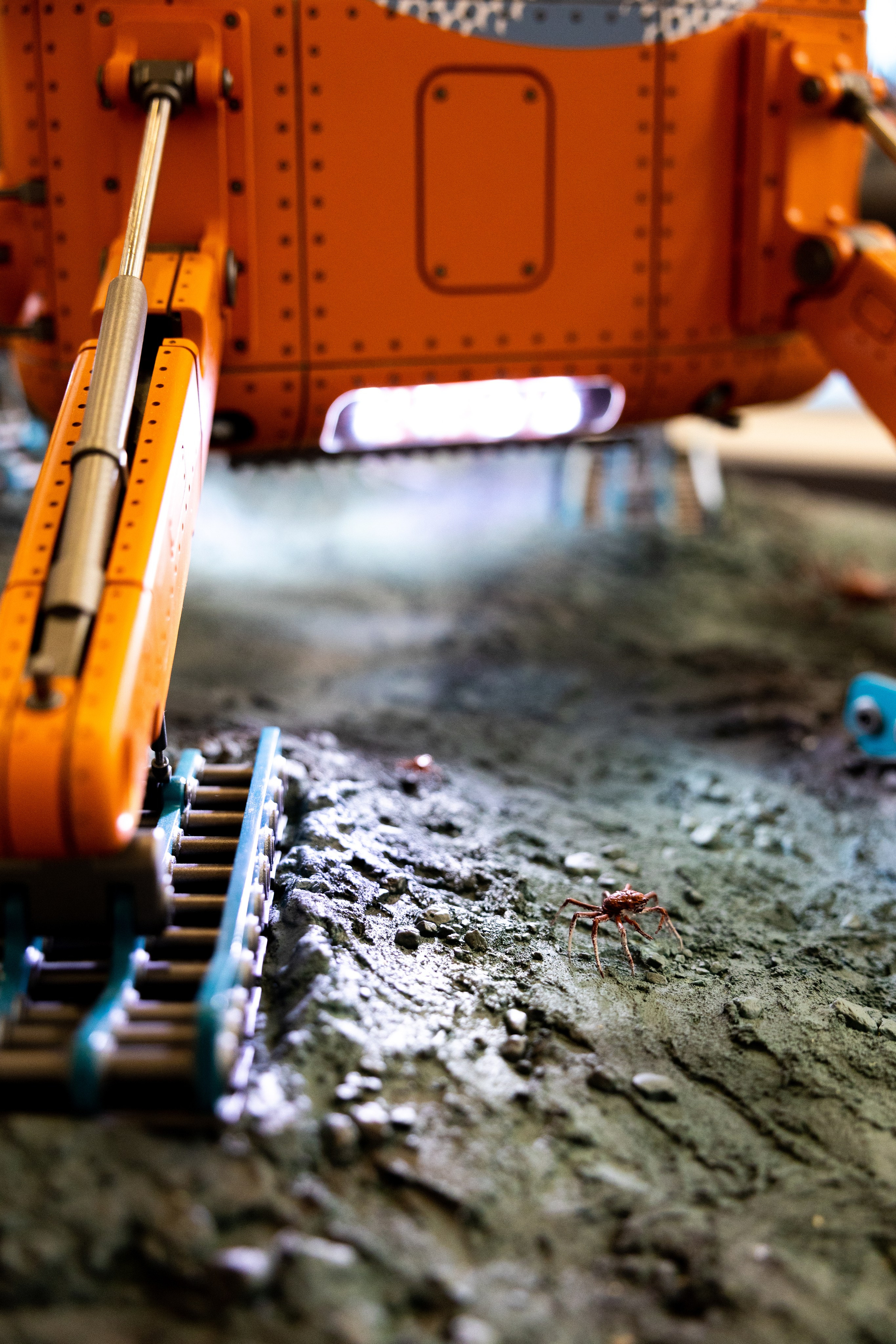 Выставка НЕВА 2025. Репортажный фотограф Санкт-Петербург | Роман Карбышев