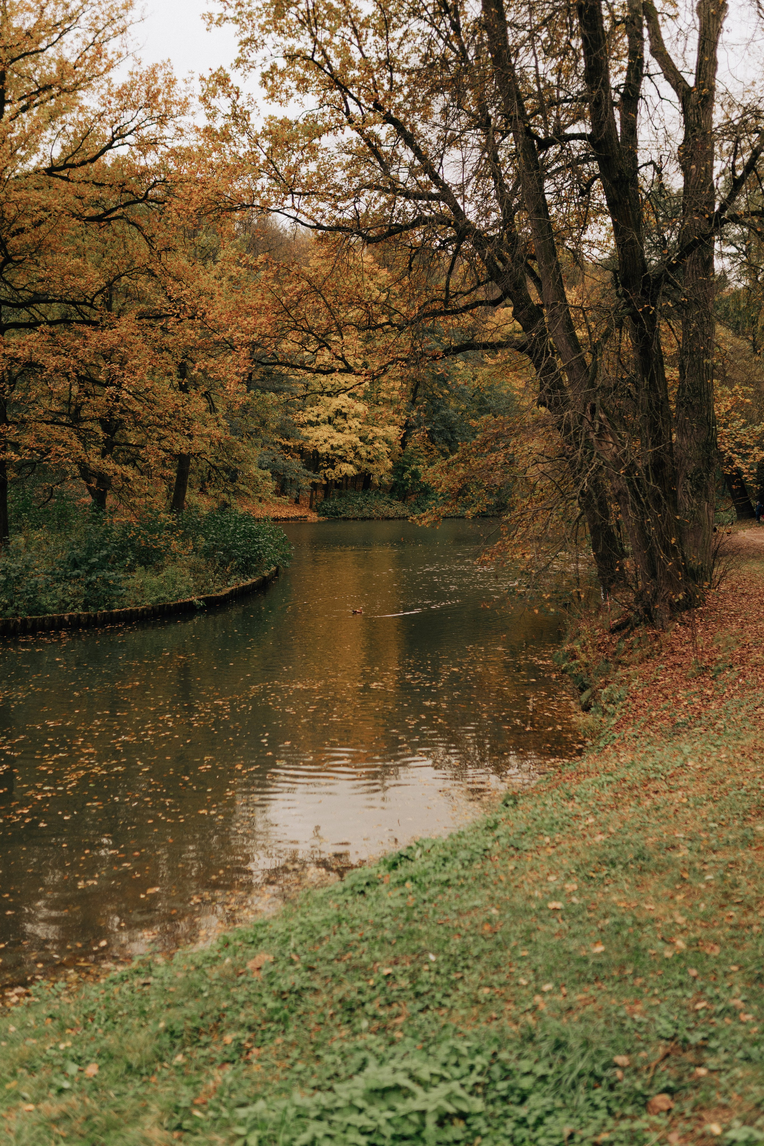 Нелли. Фотограф Екатерина Катунова | Москва