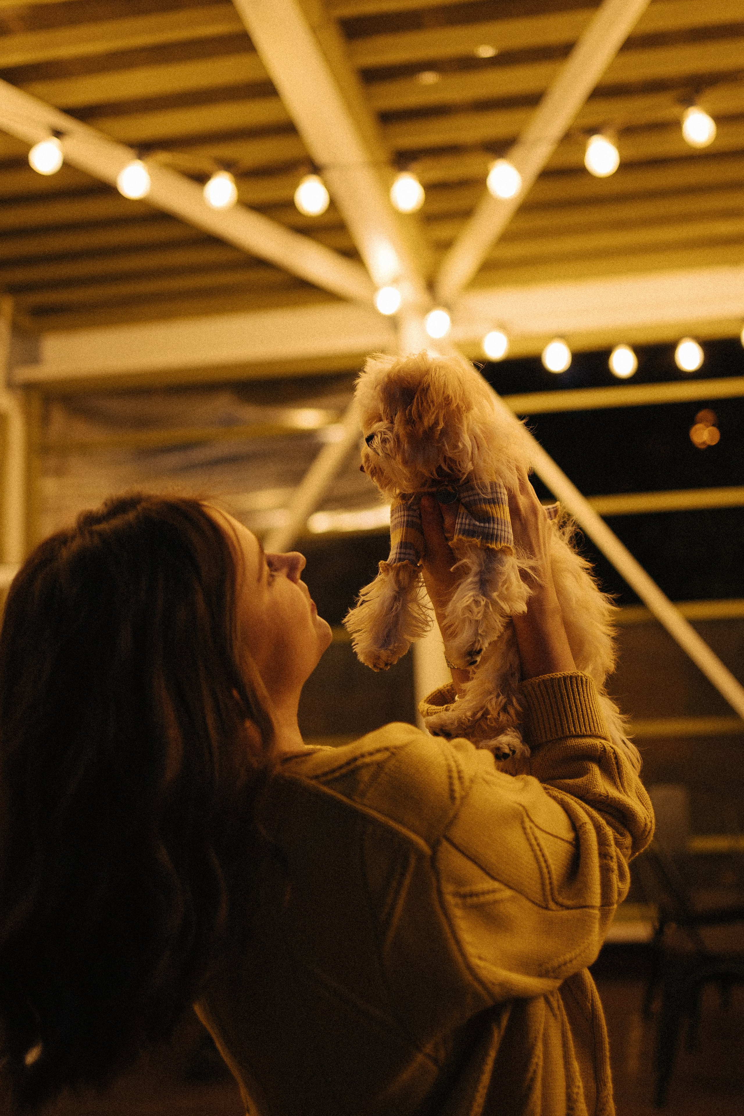 Оля и Бри. Фотораф — анималист Мария Шистка