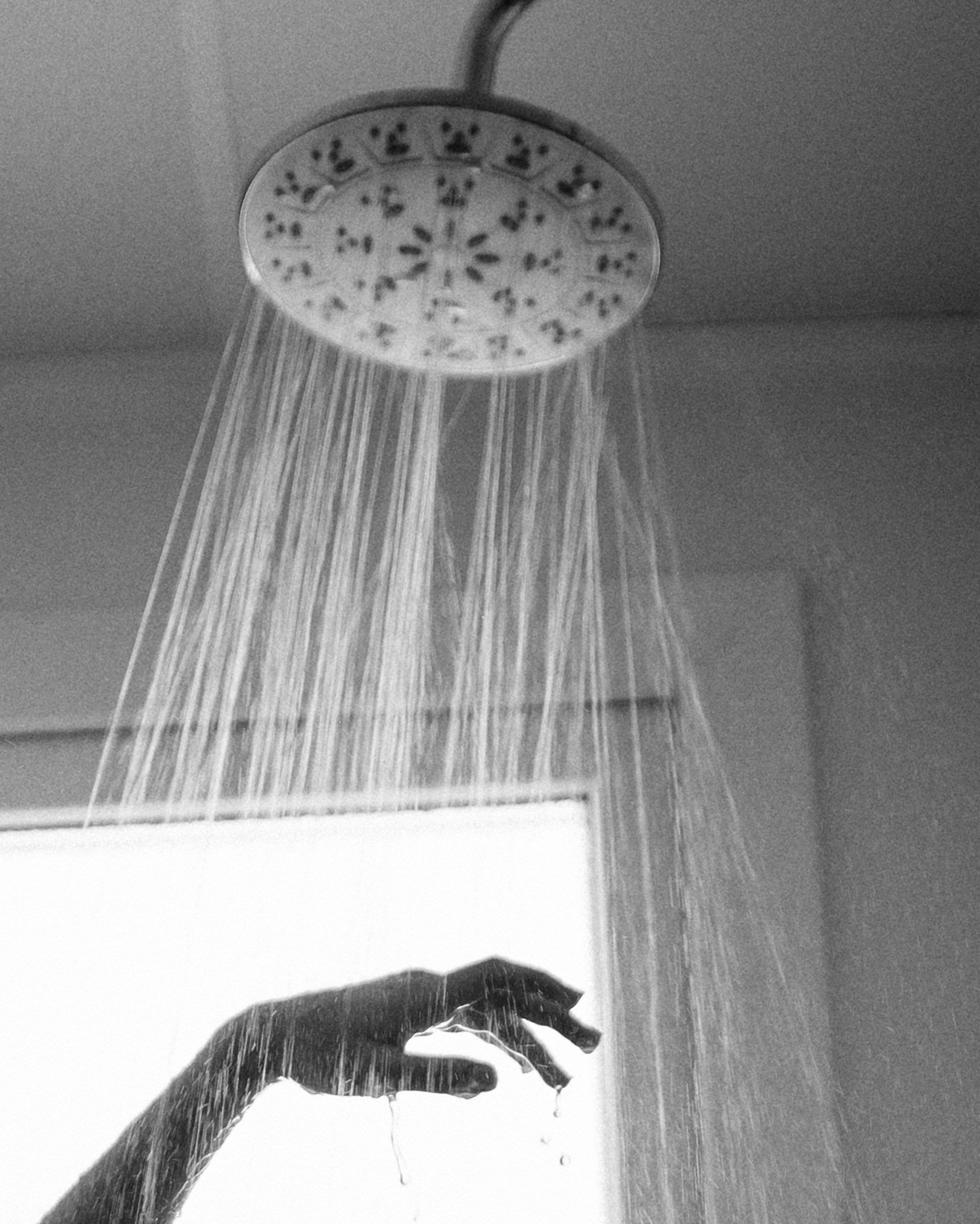 SOFIA. Фотограф города Уральск Ольга Василец