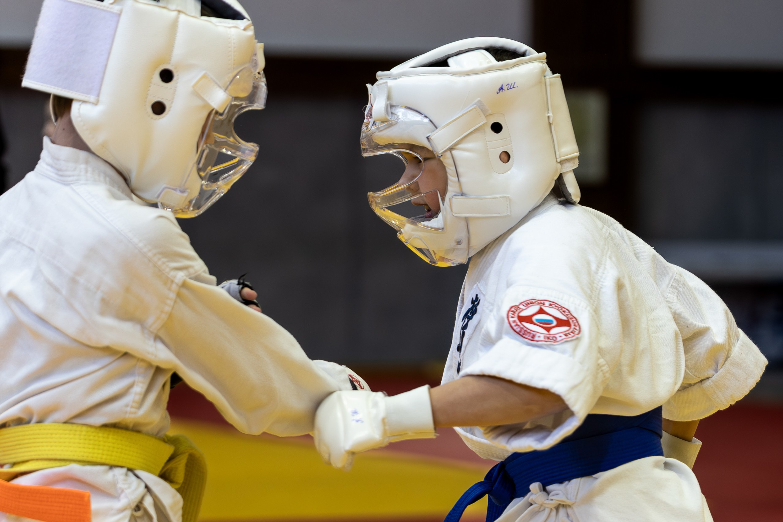 Карате кумите. Главная