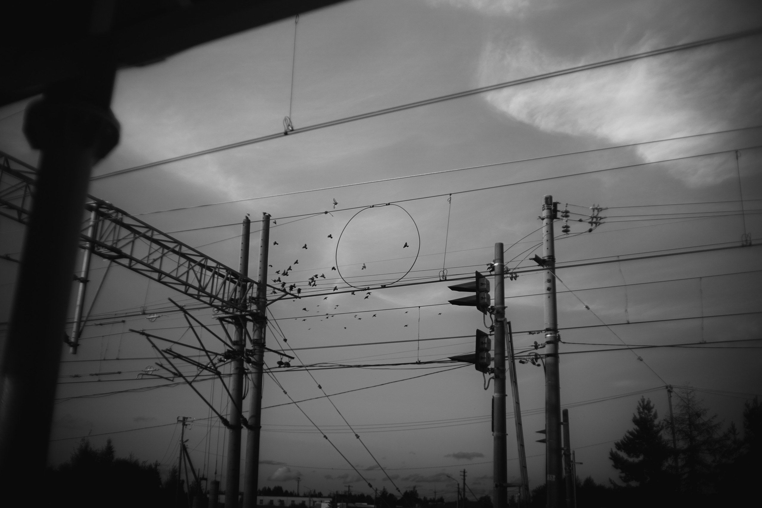 Портреты. Фотограф Анна Кирнос