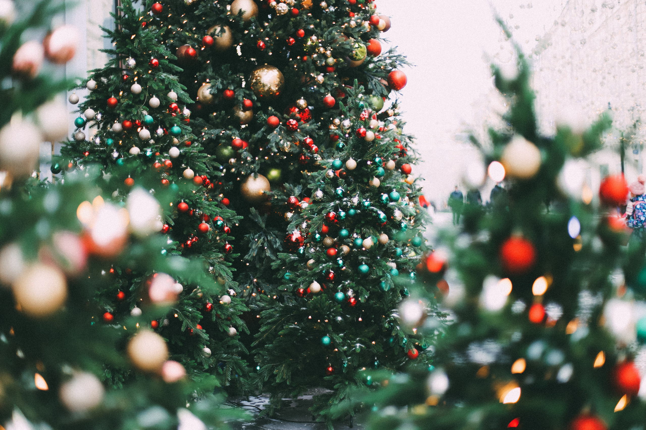 Новый Год. Семейный, детский и рекламный фотограф в Москве Ольга Сухачева