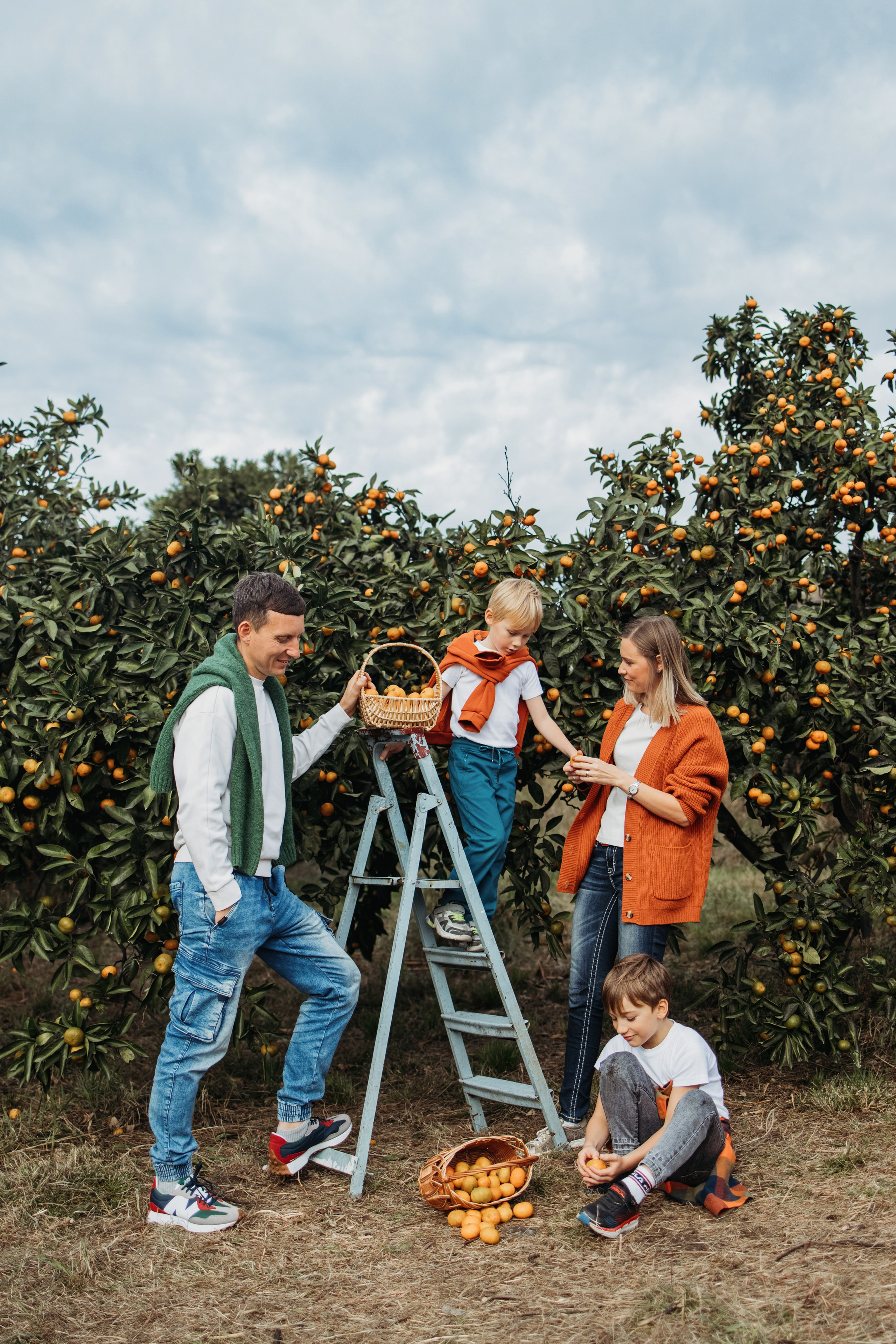 Мандариновая роща. Фотограф Сочи Татьяна Зорина