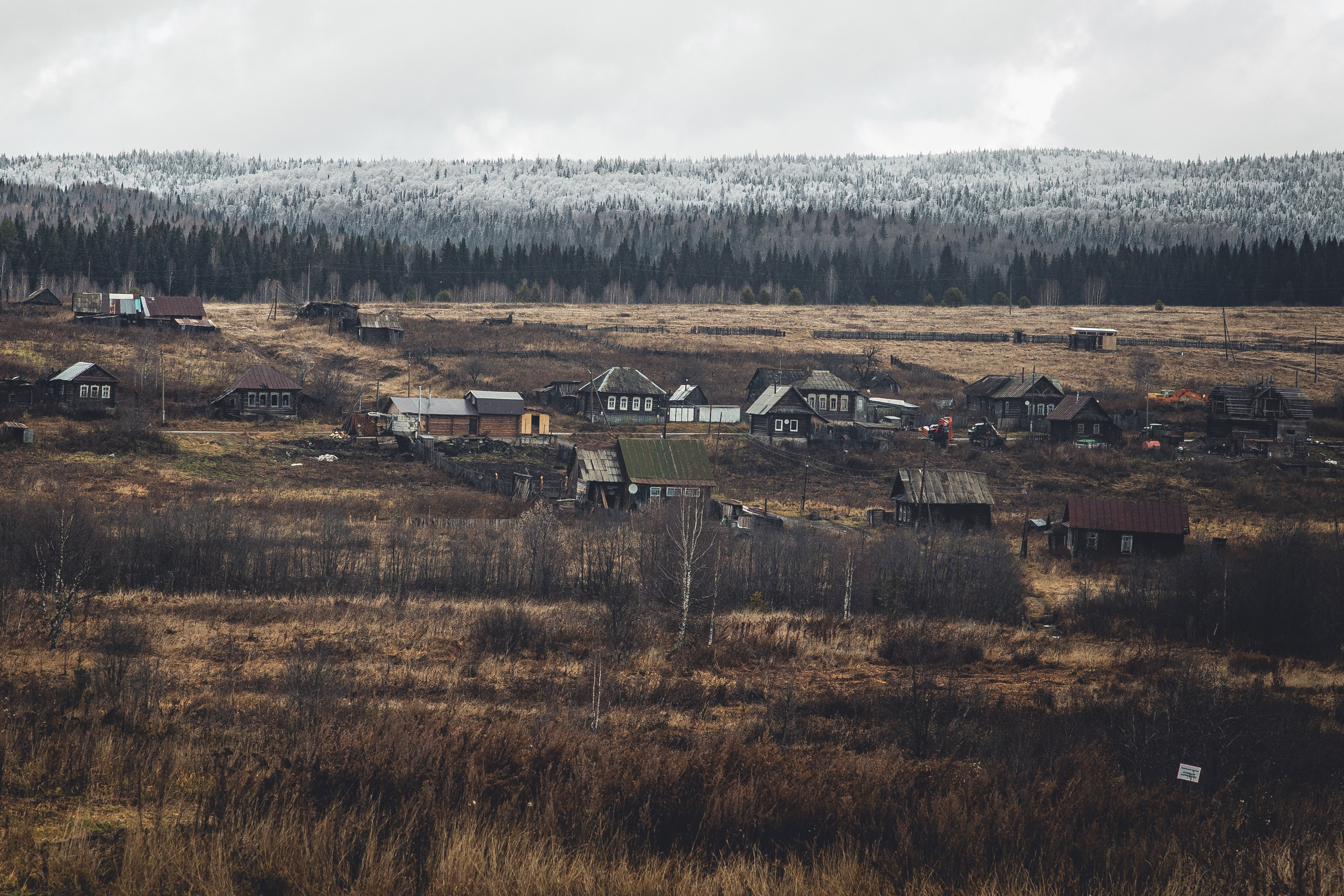 СТРИТ И ПРИРОДА. Репортажный фотограф Наталья Лапцевич
