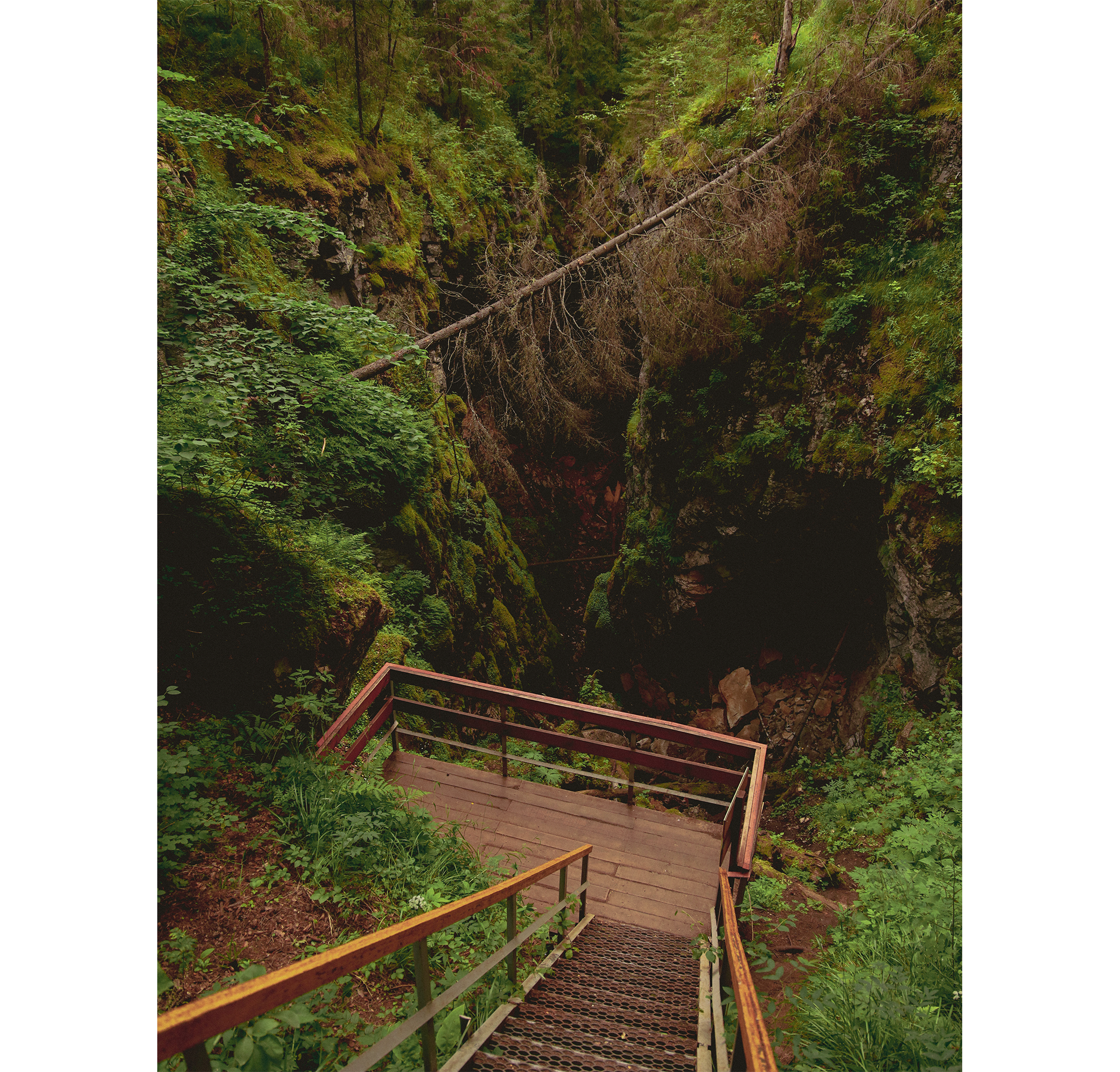 Summer hike. Фотограф/дизайнер в Екатеринбурге Хитрый Дмитрий
