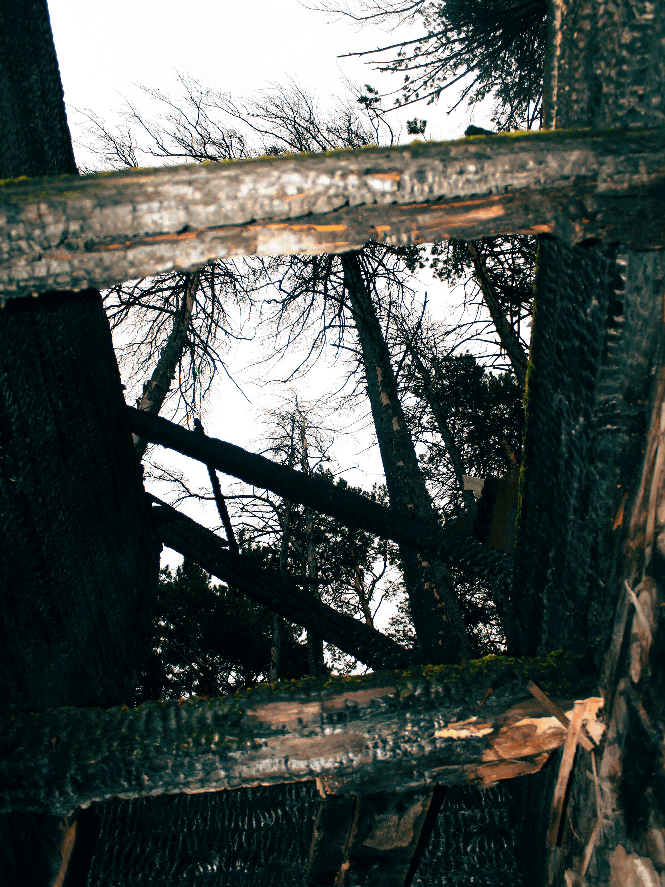 Summertime. Фотограф/дизайнер в Екатеринбурге Хитрый Дмитрий