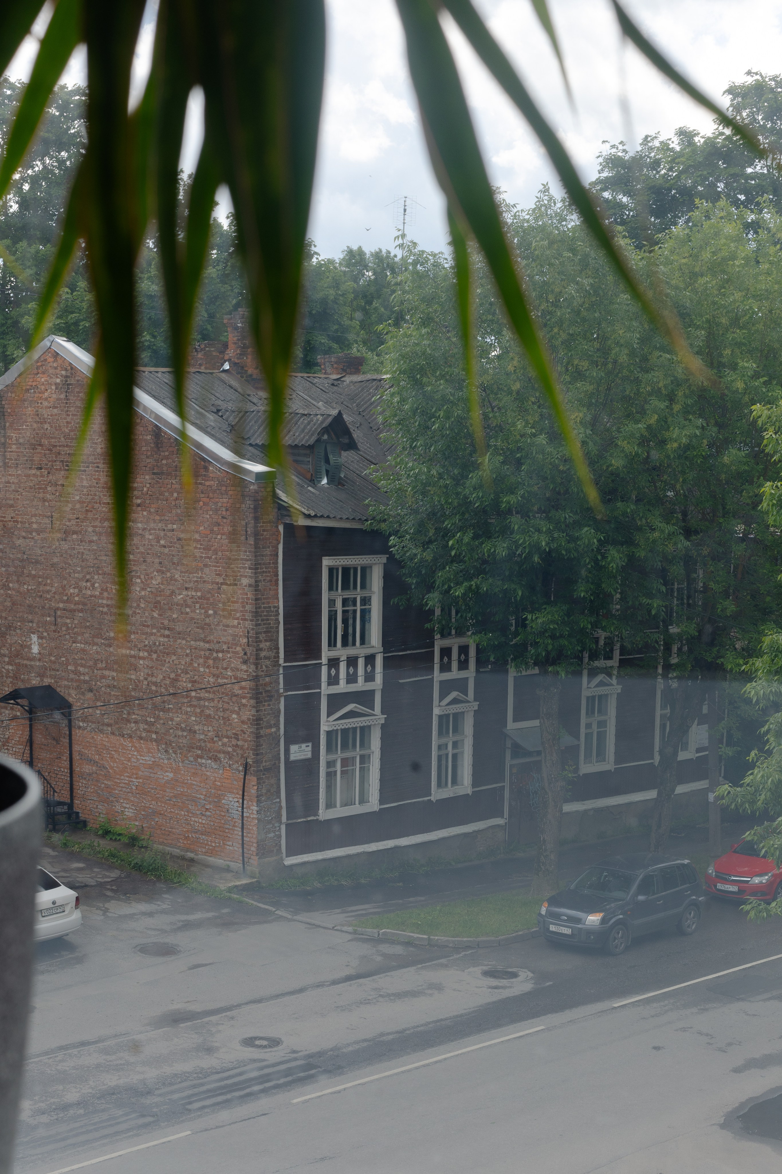 Петр и Ксения. @dariazphoto свадебный фотограф