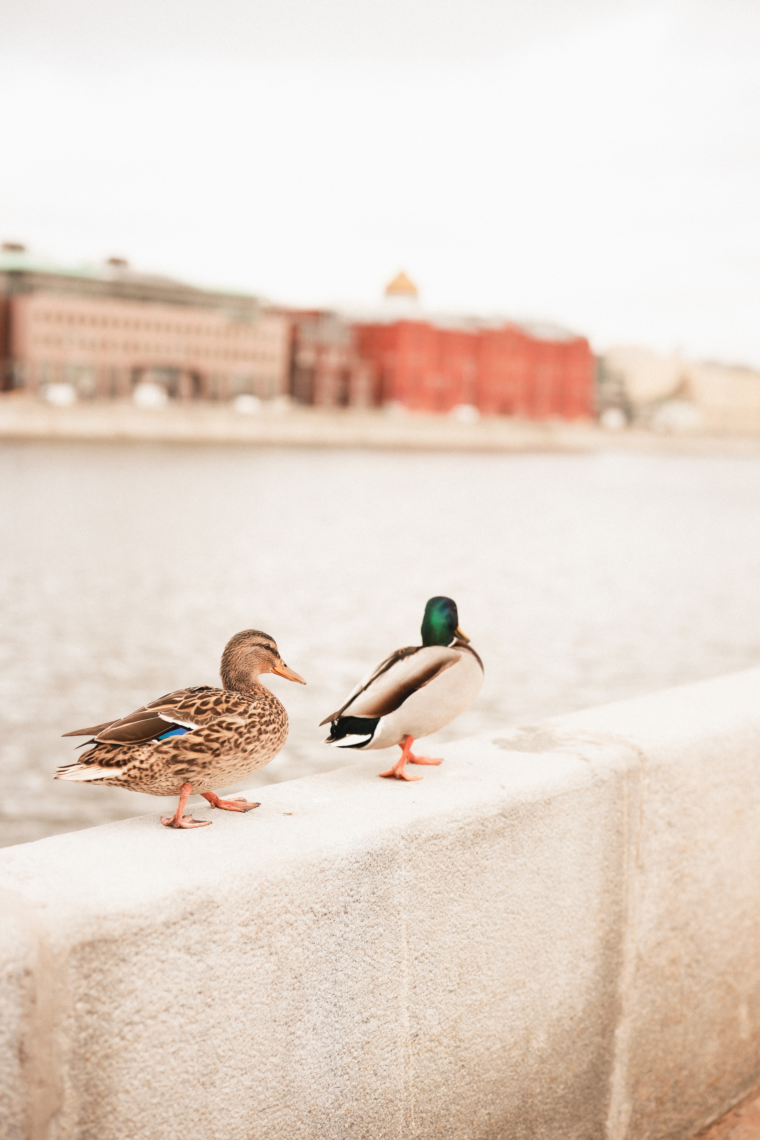 Саша Музеон. Детский и семейный фотограф Москва Виктория Самоховец