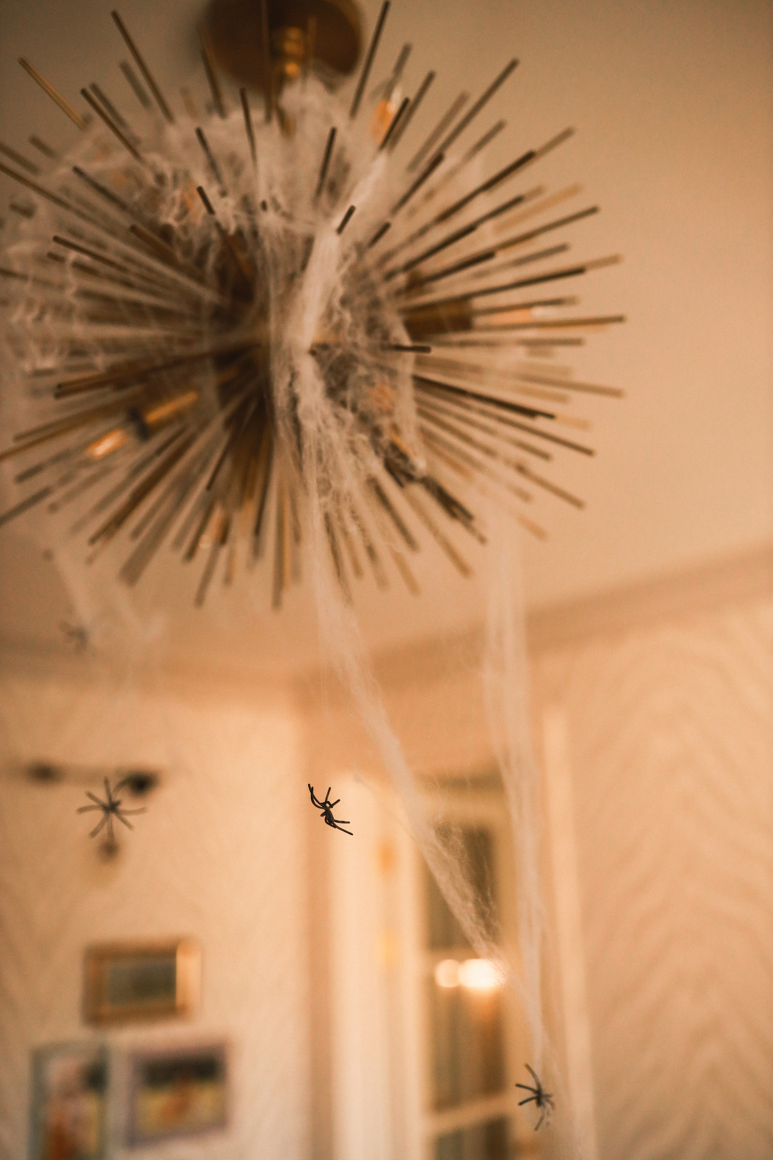 Хэллоуин Елена. Детский и семейный фотограф Москва Виктория Самоховец