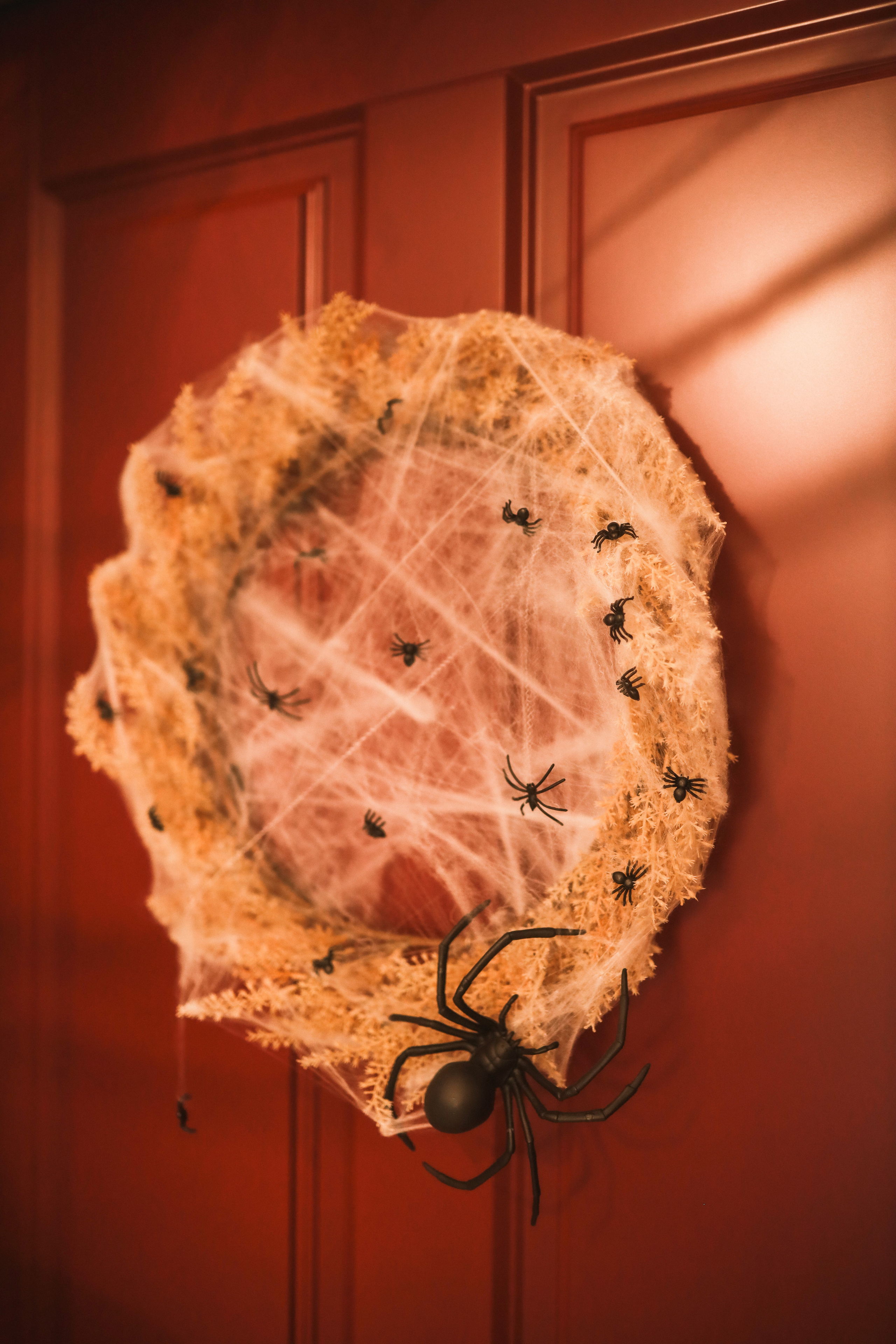 Хэллоуин Елена. Детский и семейный фотограф Москва Виктория Самоховец