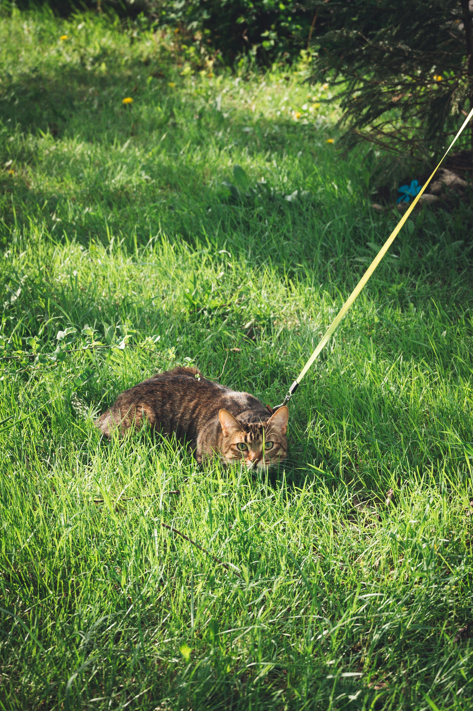 Мир вокруг. Фотограф Анна Темнова. Пенза