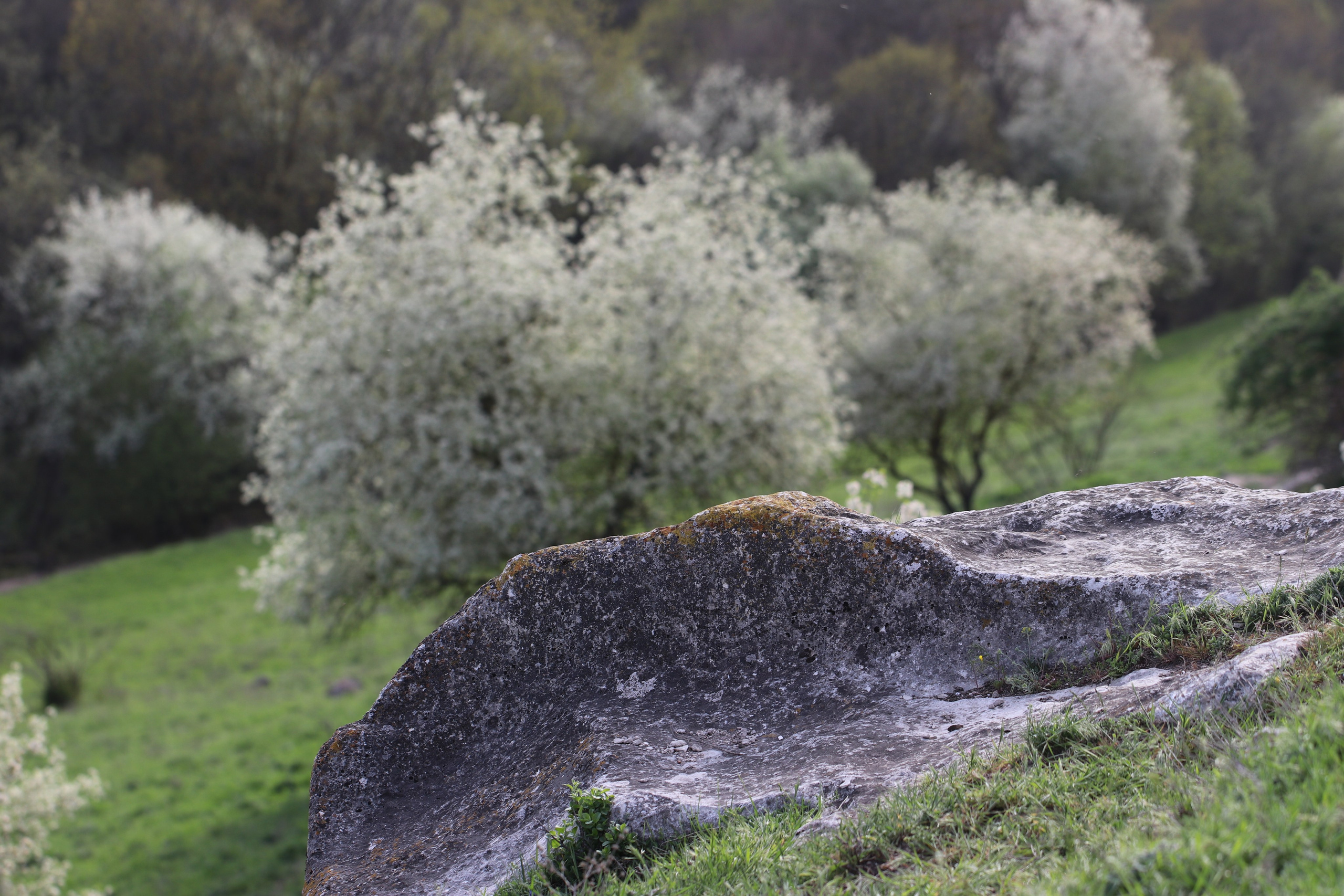 Крым. ЮБК (Бахчисарай, Кастрополь, Таракташская тропа). Май 2021. Путешественник-фотограф из Санкт-Петербурга Татьяна Свистулина