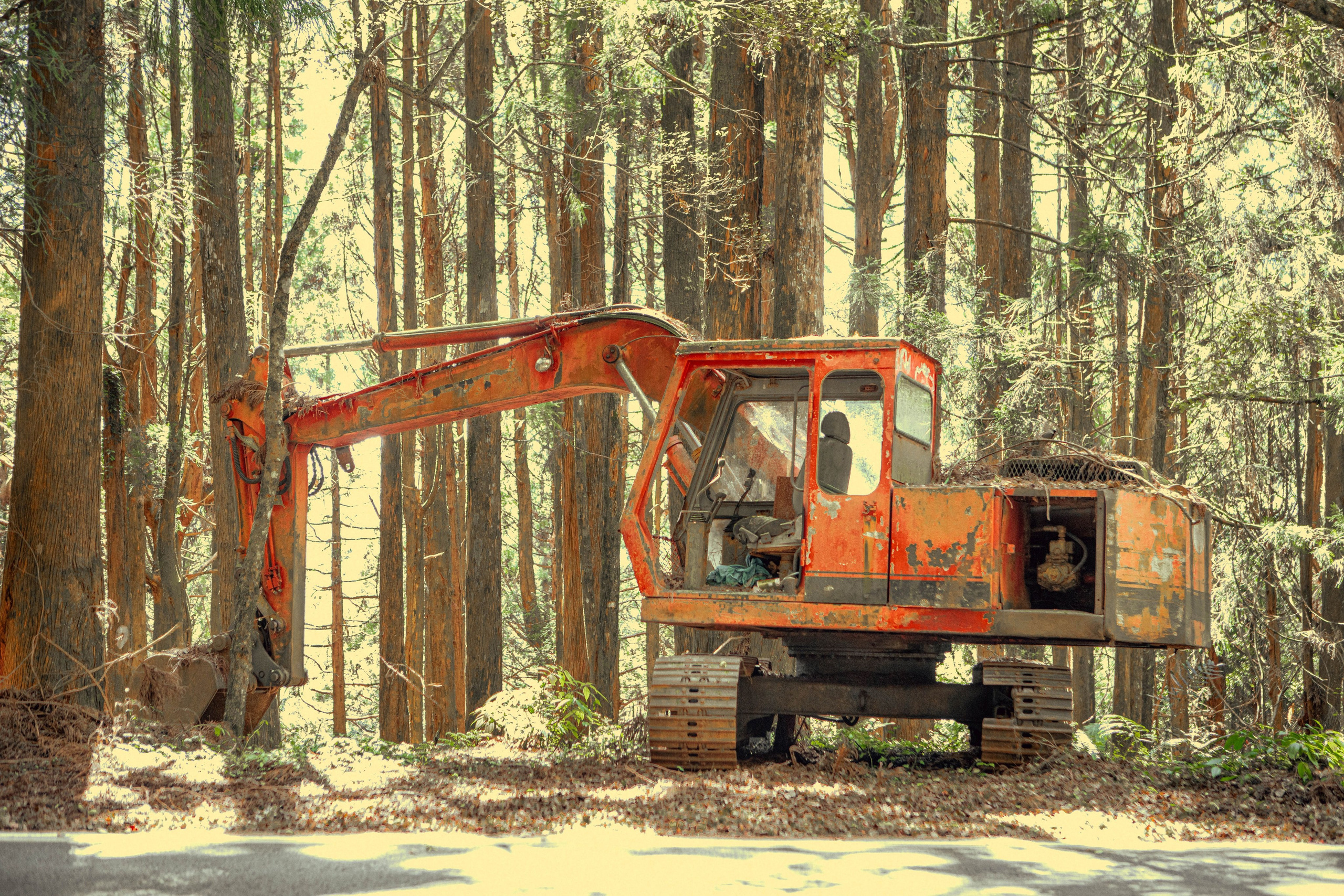 Тайвань. Фотография, ретушь, сканирование, восстановление старых фото, интерьерная съёмка, студия. Данилов Александр, Москва