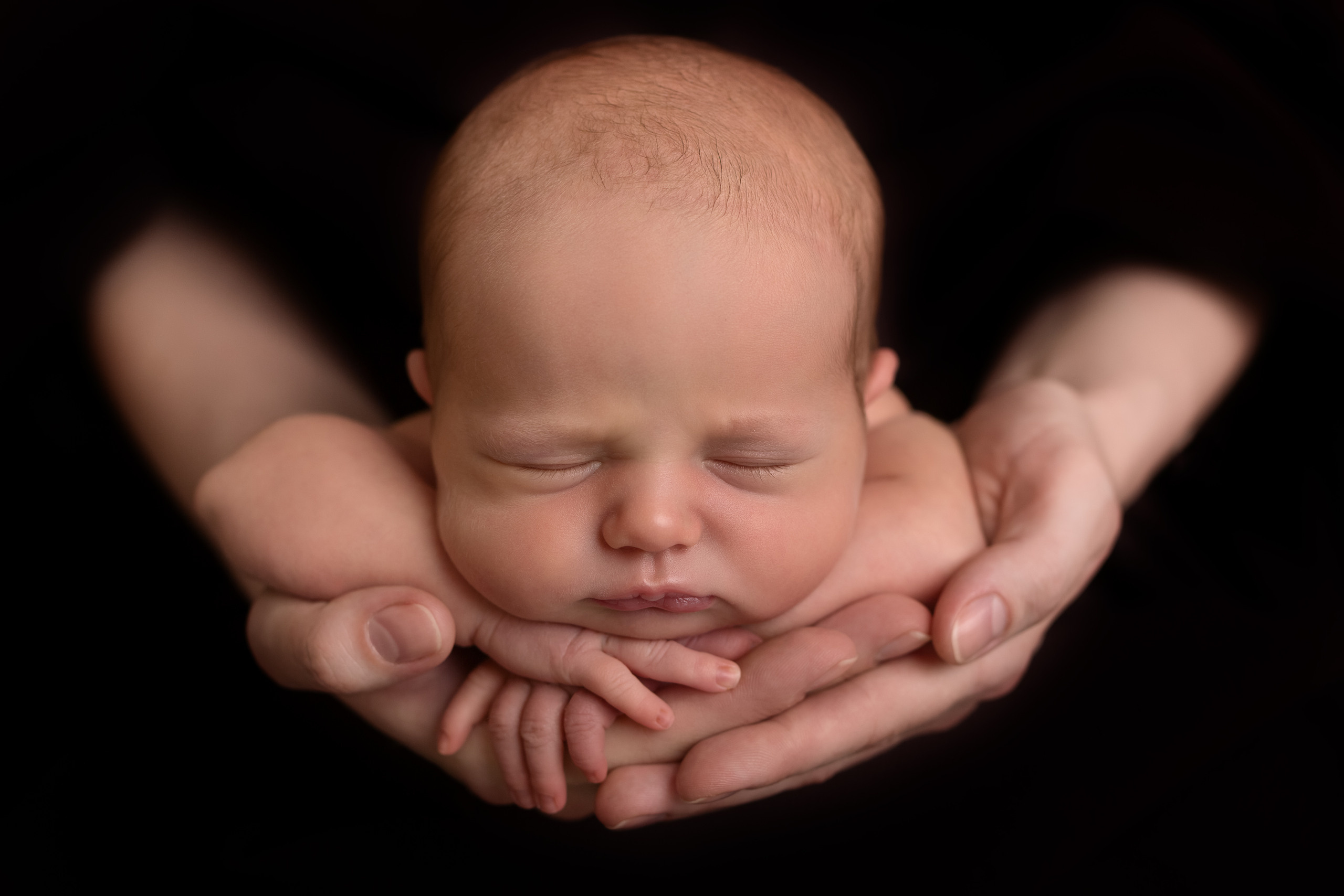 NEWBORN. Le_Dlu Фотограф Елена Длужинская